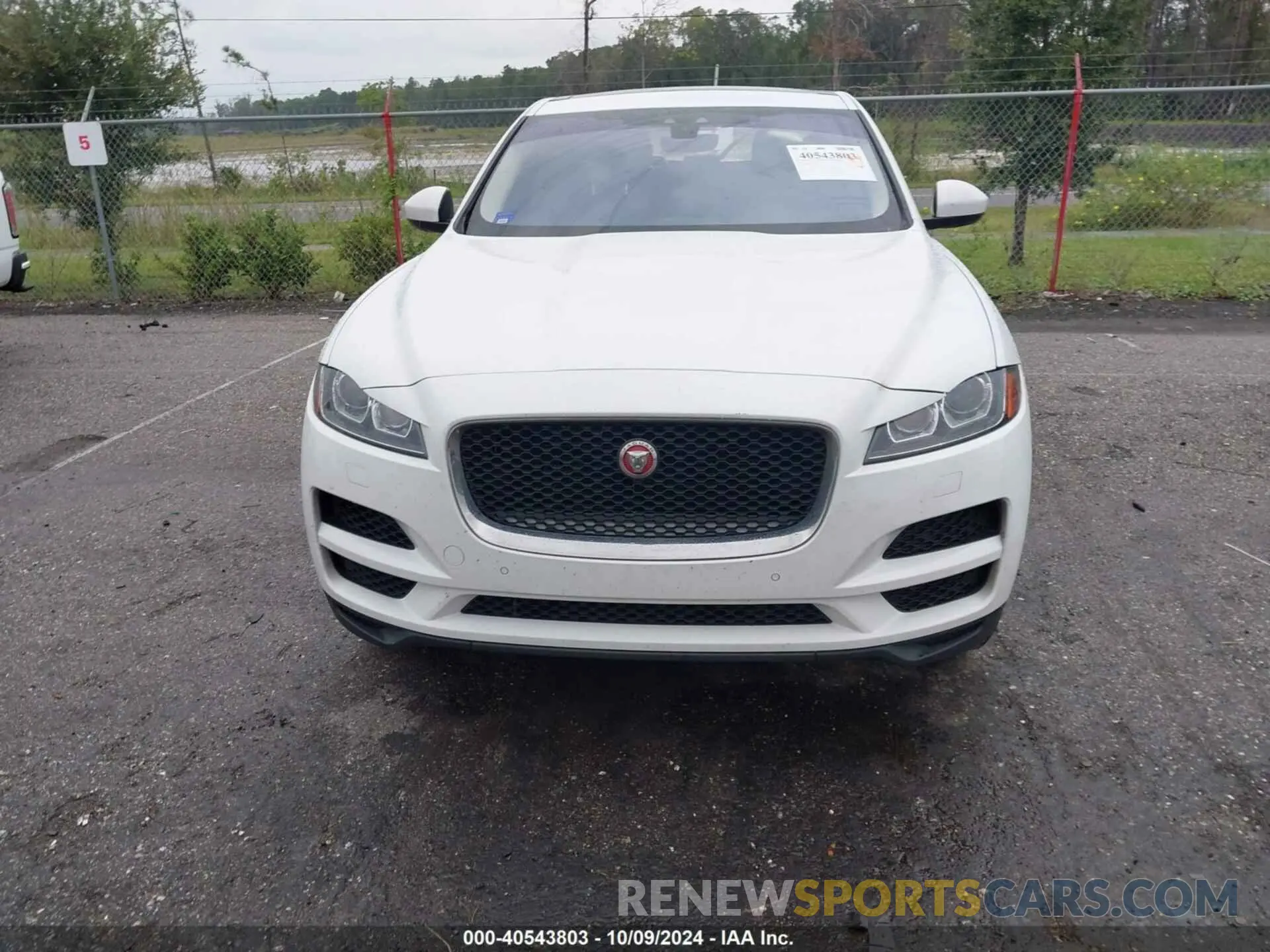 12 Фотография поврежденного автомобиля SADCK2GX6KA390884 JAGUAR F-PACE 2019
