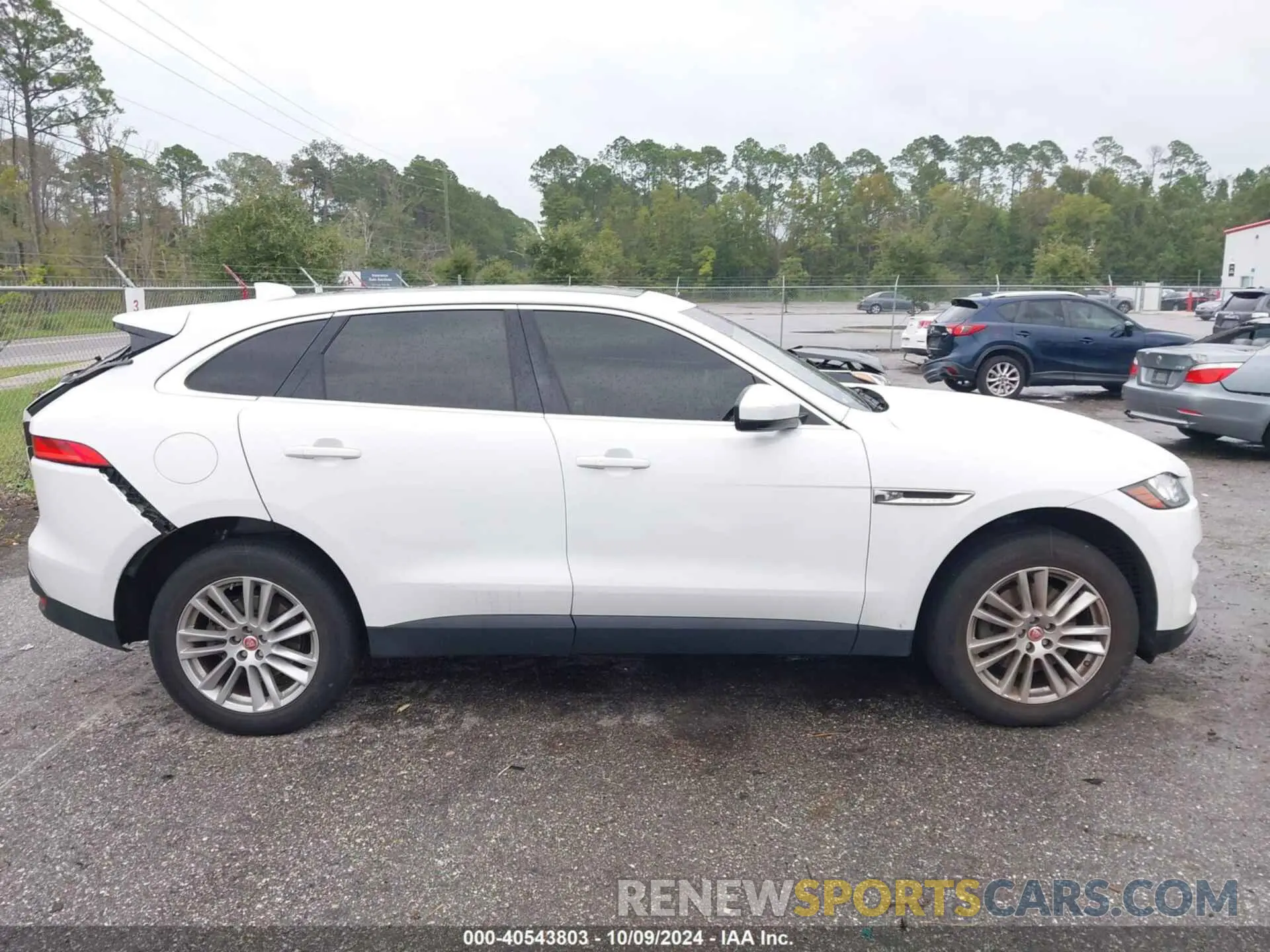 13 Фотография поврежденного автомобиля SADCK2GX6KA390884 JAGUAR F-PACE 2019