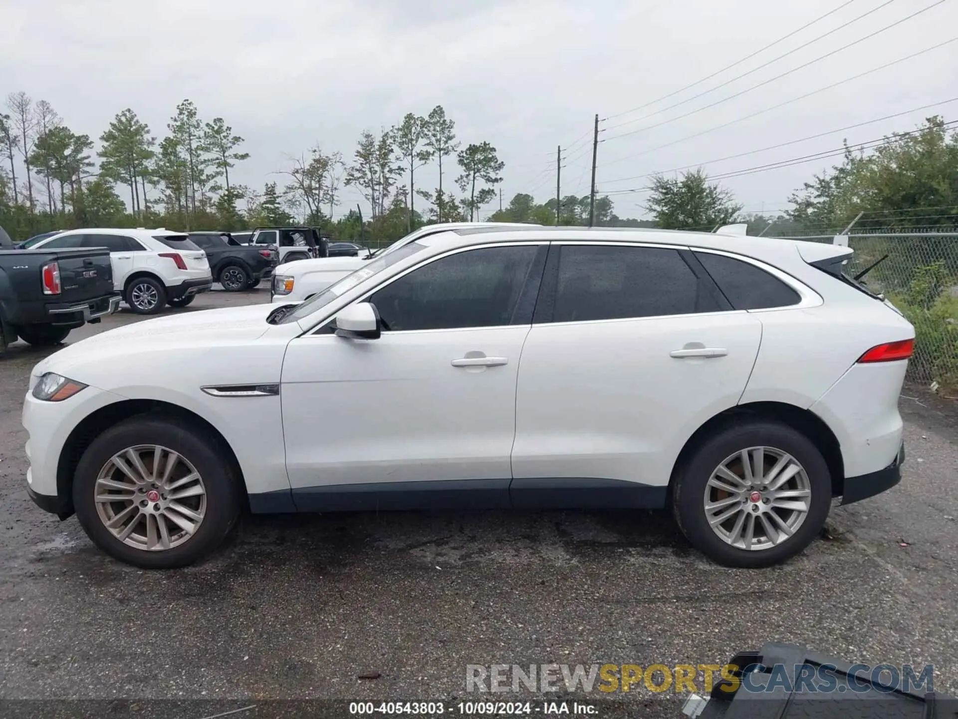 14 Фотография поврежденного автомобиля SADCK2GX6KA390884 JAGUAR F-PACE 2019