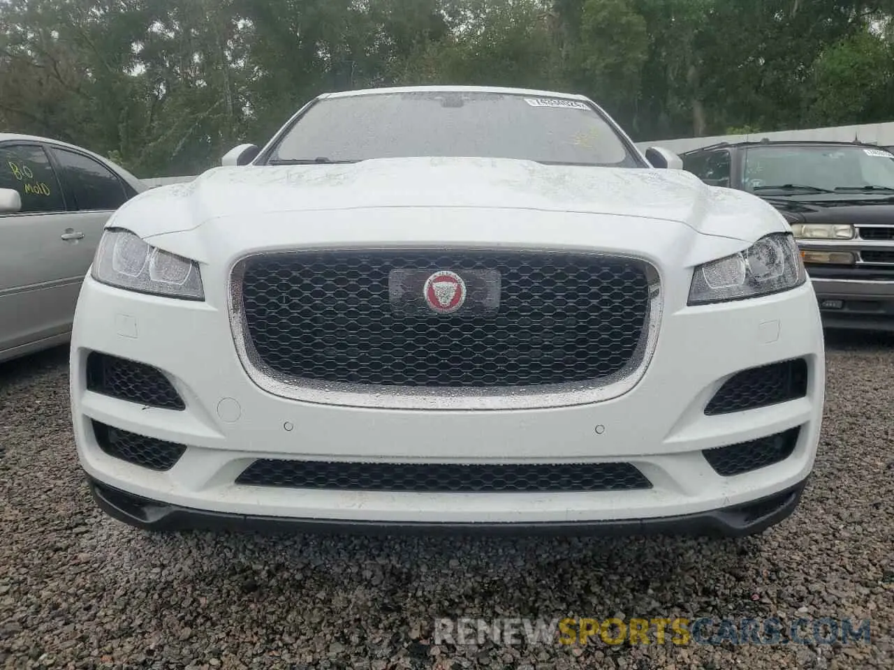 5 Фотография поврежденного автомобиля SADCK2GX7KA398511 JAGUAR F-PACE 2019
