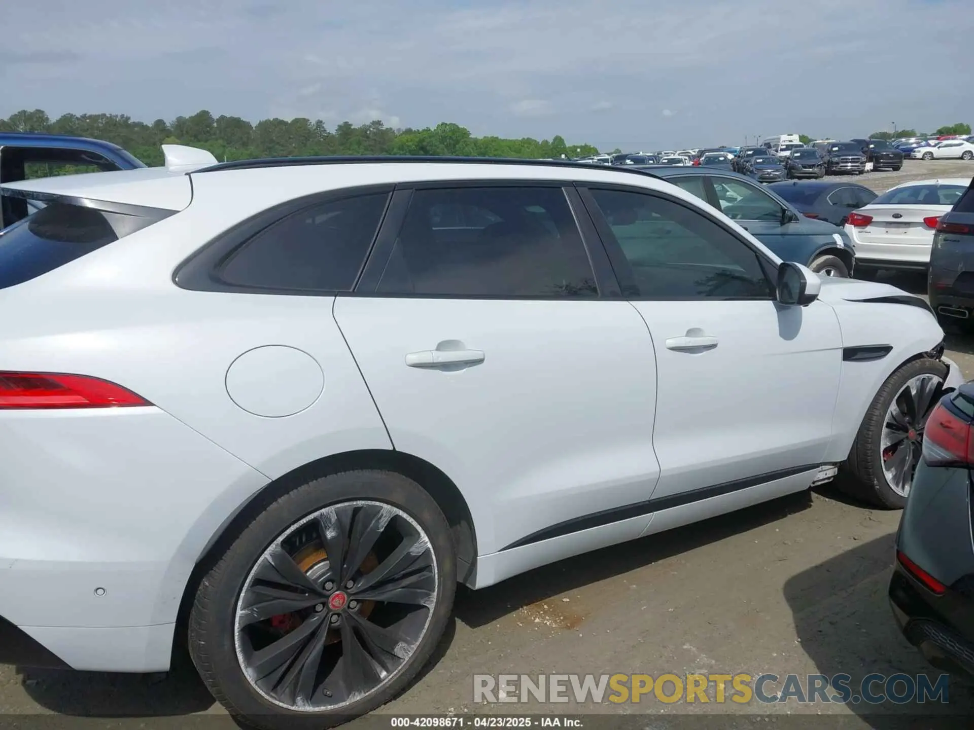 12 Photograph of a damaged car SADCM2FV9KA609878 JAGUAR F-PACE 2019