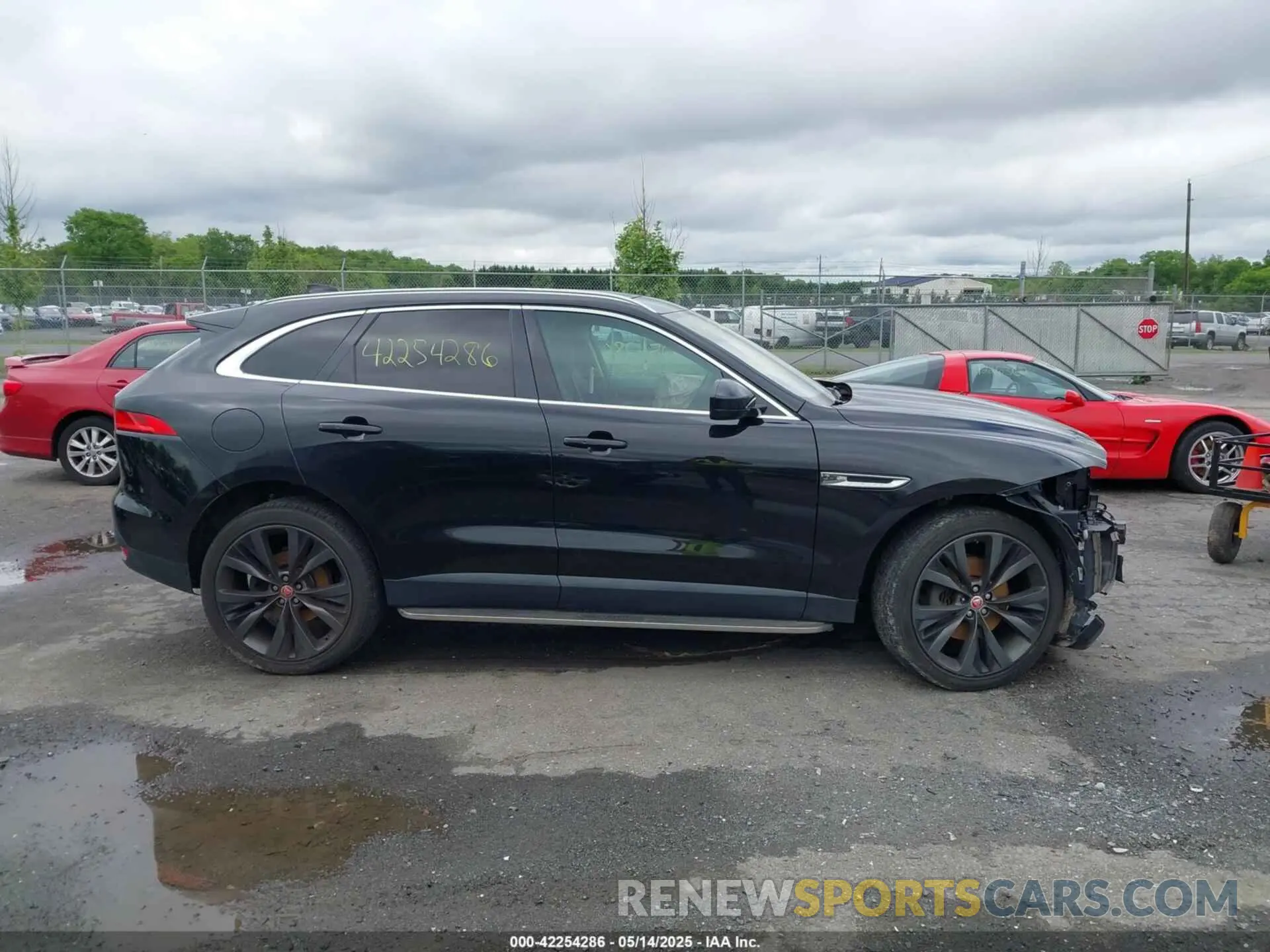 14 Photograph of a damaged car SADCN2GX8KA399769 JAGUAR F-PACE 2019