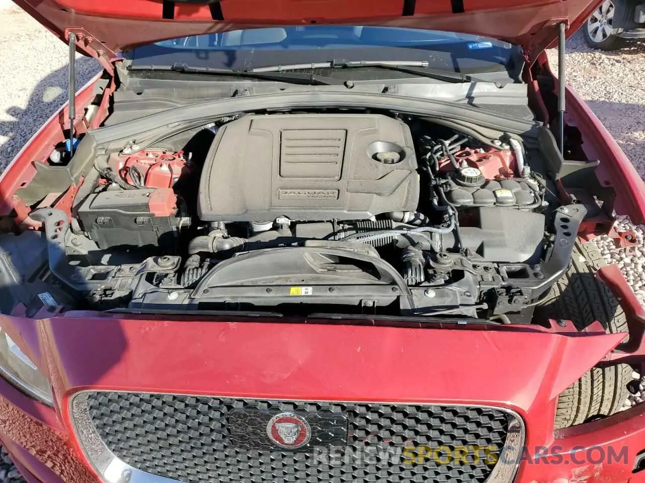 12 Фотография поврежденного автомобиля SADCK2FX3LA648118 JAGUAR F-PACE 2020