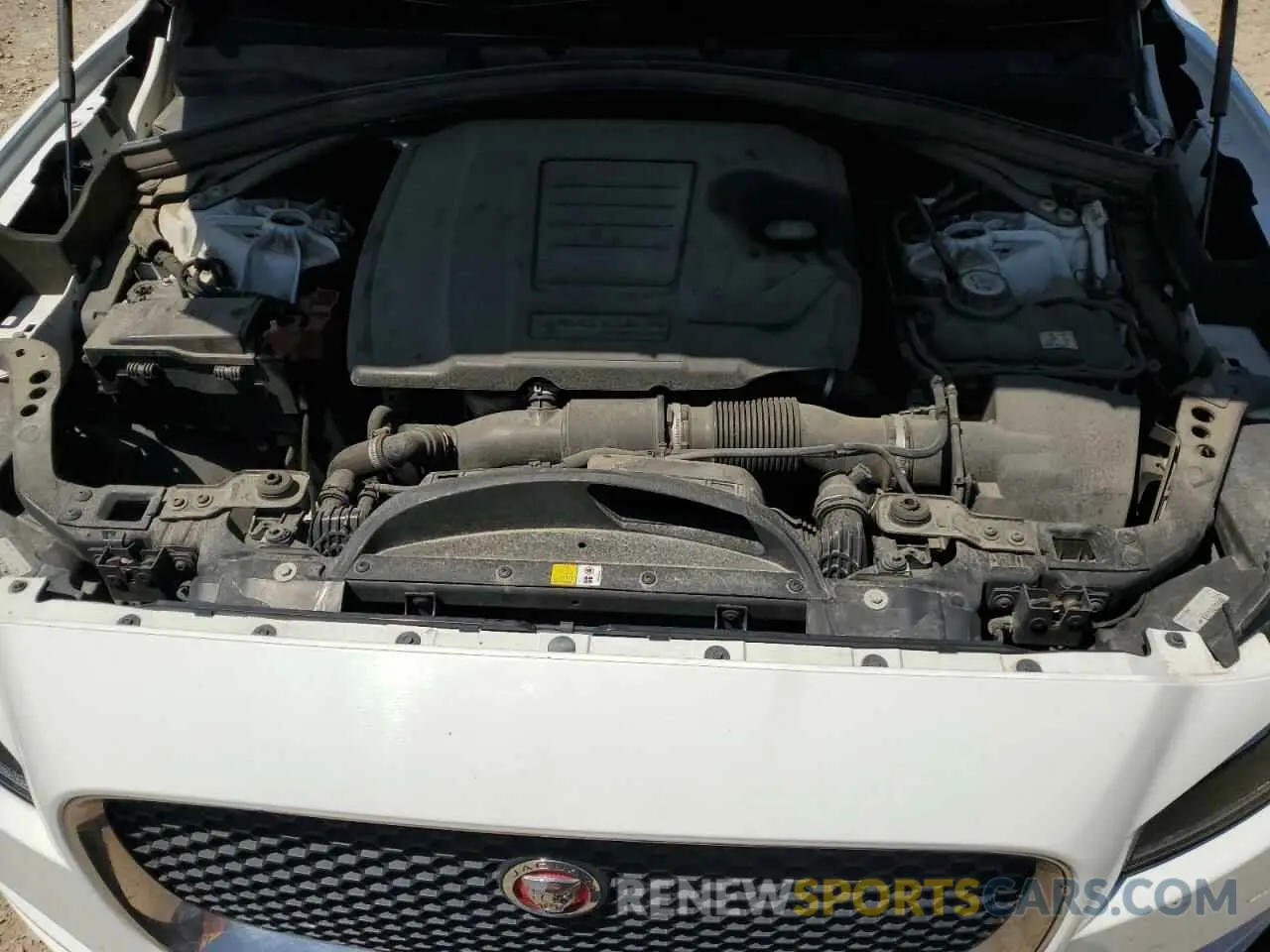 12 Фотография поврежденного автомобиля SADCK2GX2LA633902 JAGUAR F-PACE 2020