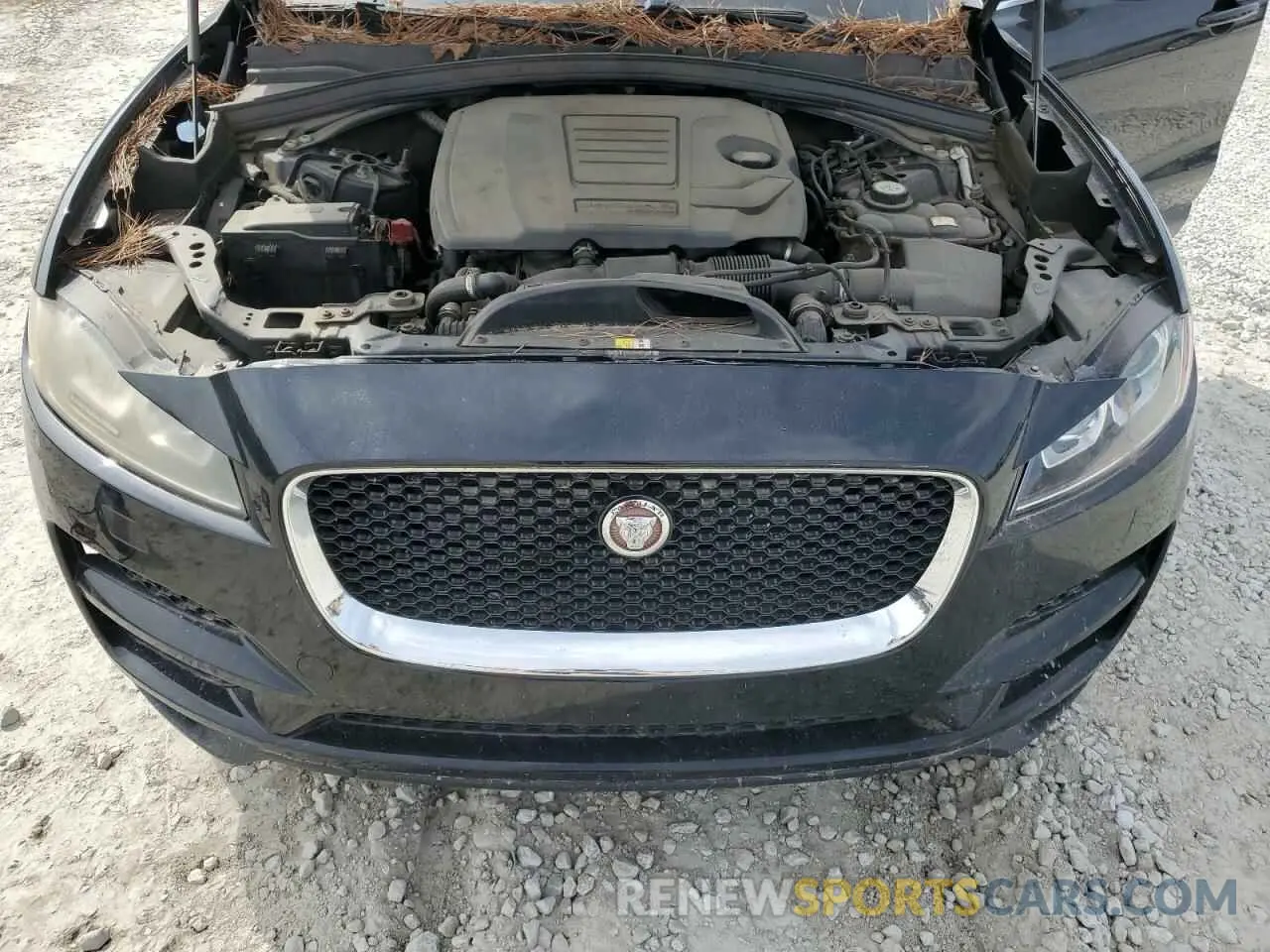 12 Photograph of a damaged car SADCK2GX9LA632858 JAGUAR F-PACE 2020