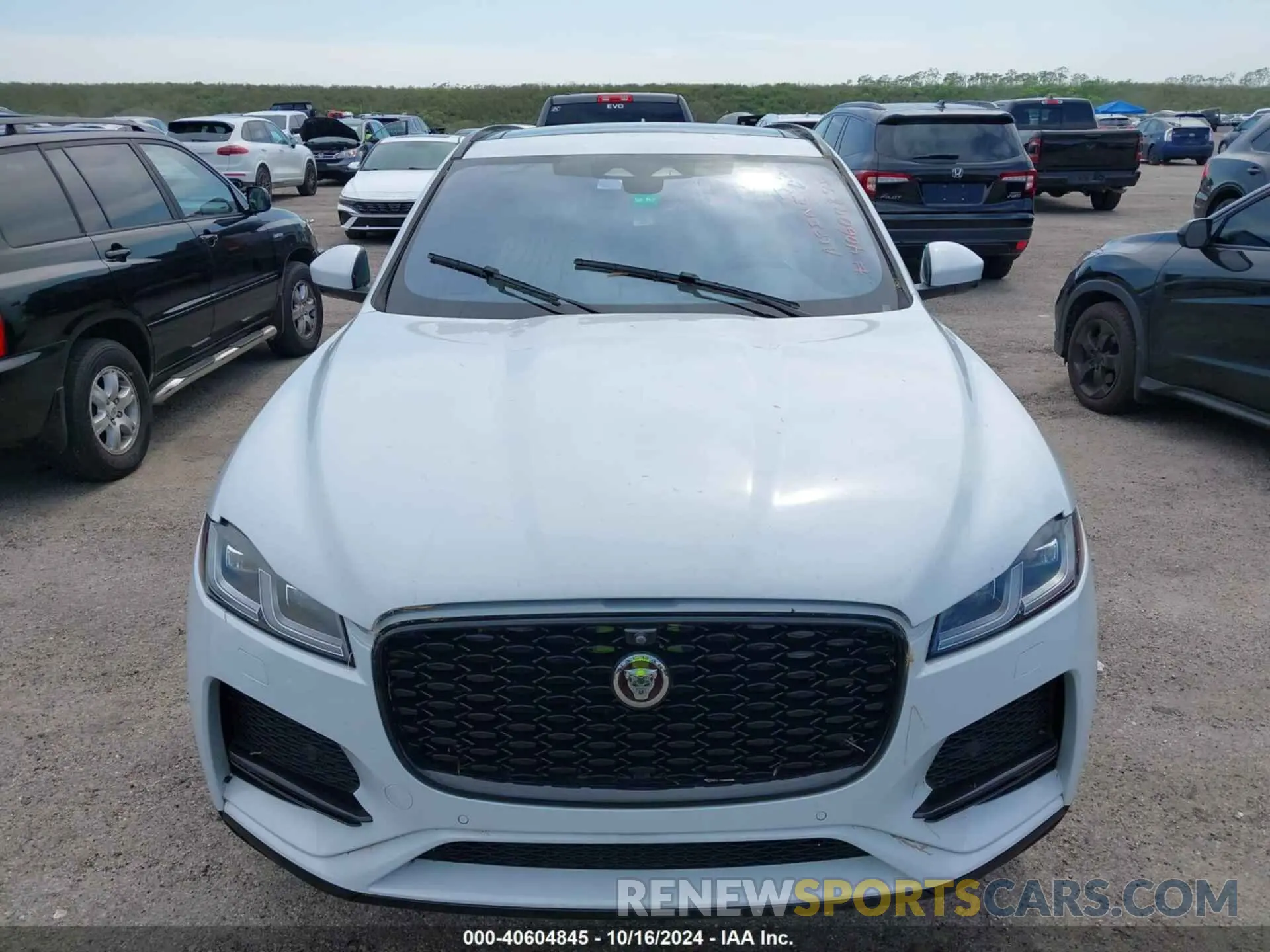 6 Фотография поврежденного автомобиля SADCJ2EU6MA686826 JAGUAR F-PACE 2021