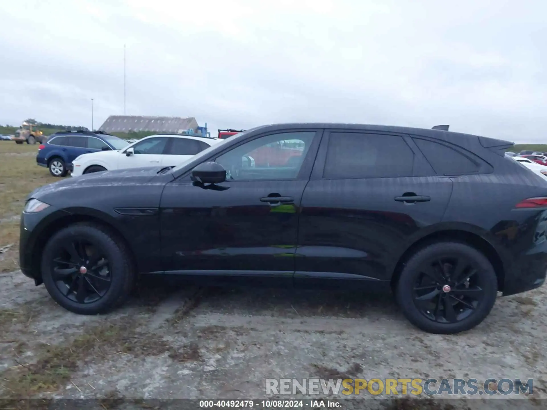 14 Photograph of a damaged car SADCJ2EX9MA687060 JAGUAR F-PACE 2021