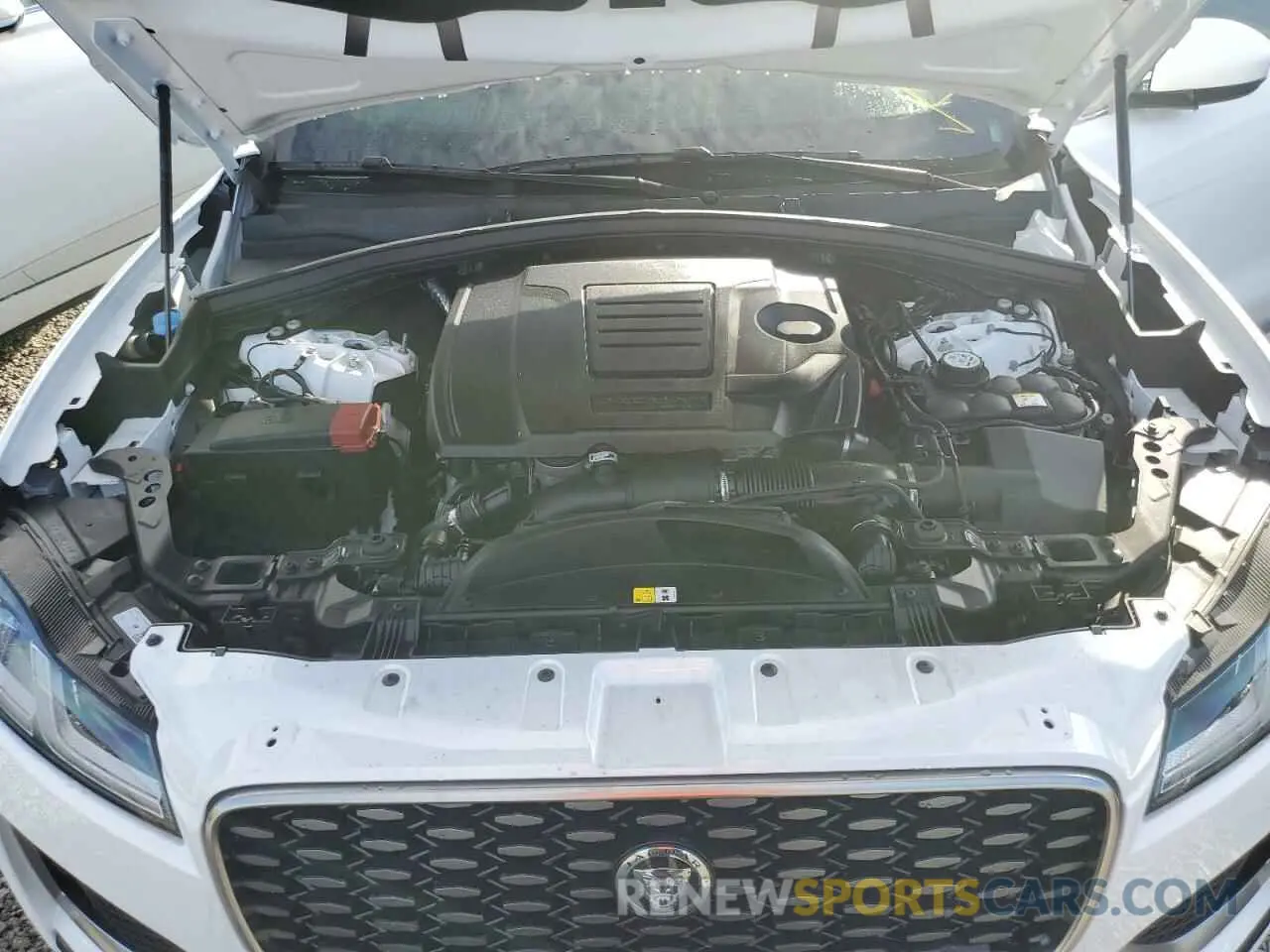 12 Photograph of a damaged car SADCT2EX5RA721187 JAGUAR F-PACE 2024