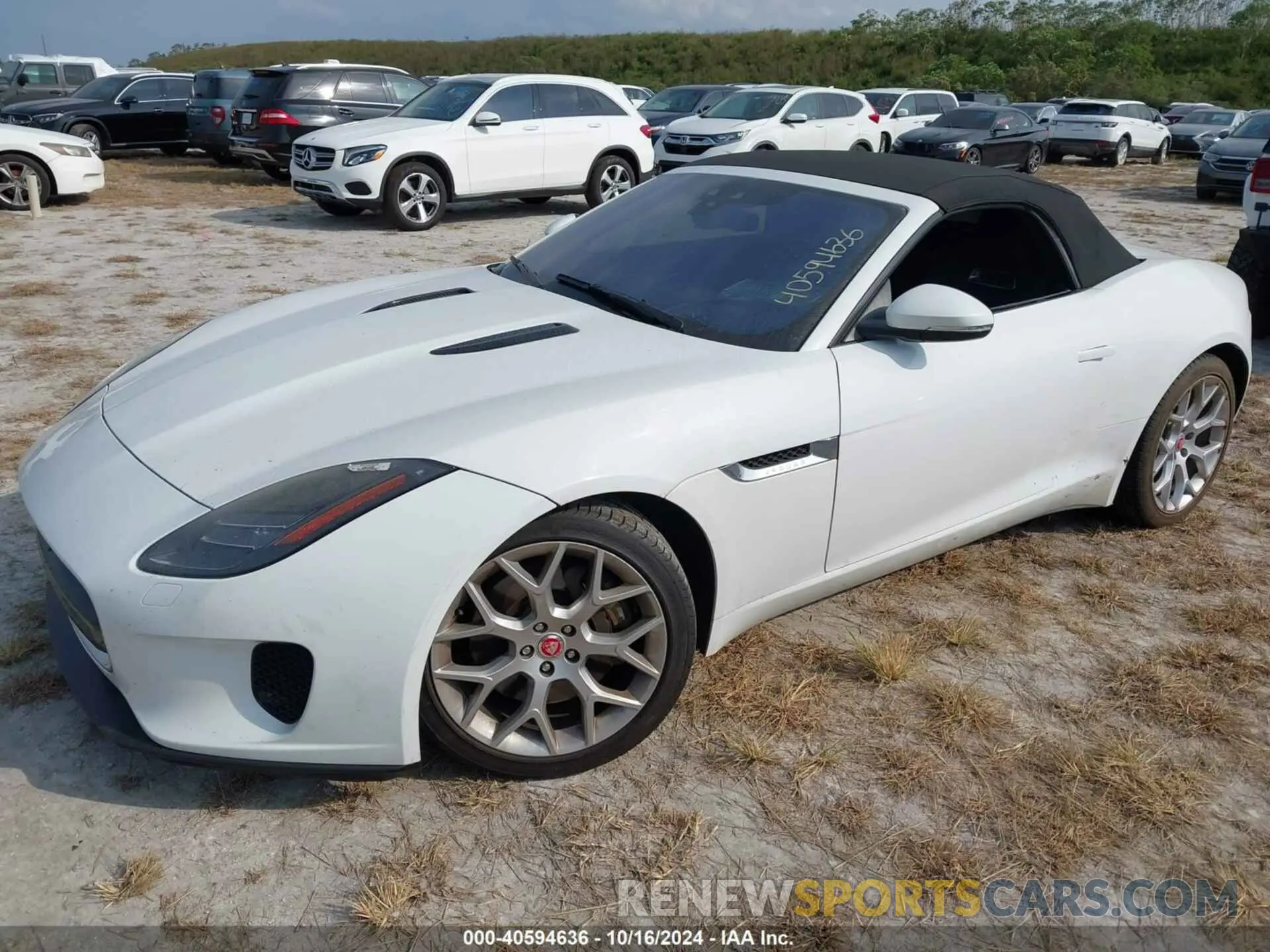 2 Photograph of a damaged car SAJDD5GX2LCK67103 JAGUAR F-TYPE 2020