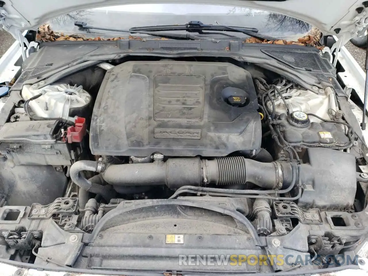 11 Фотография поврежденного автомобиля SAJBJ4FX0KCY79424 JAGUAR XF 2019