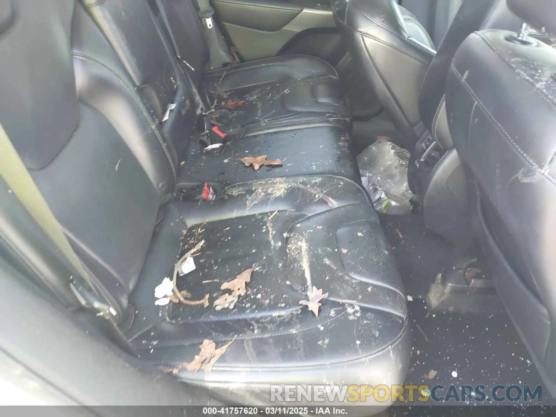 8 Photograph of a damaged car 1C4PJLDB1KD302241 JEEP CHEROKEE 2019