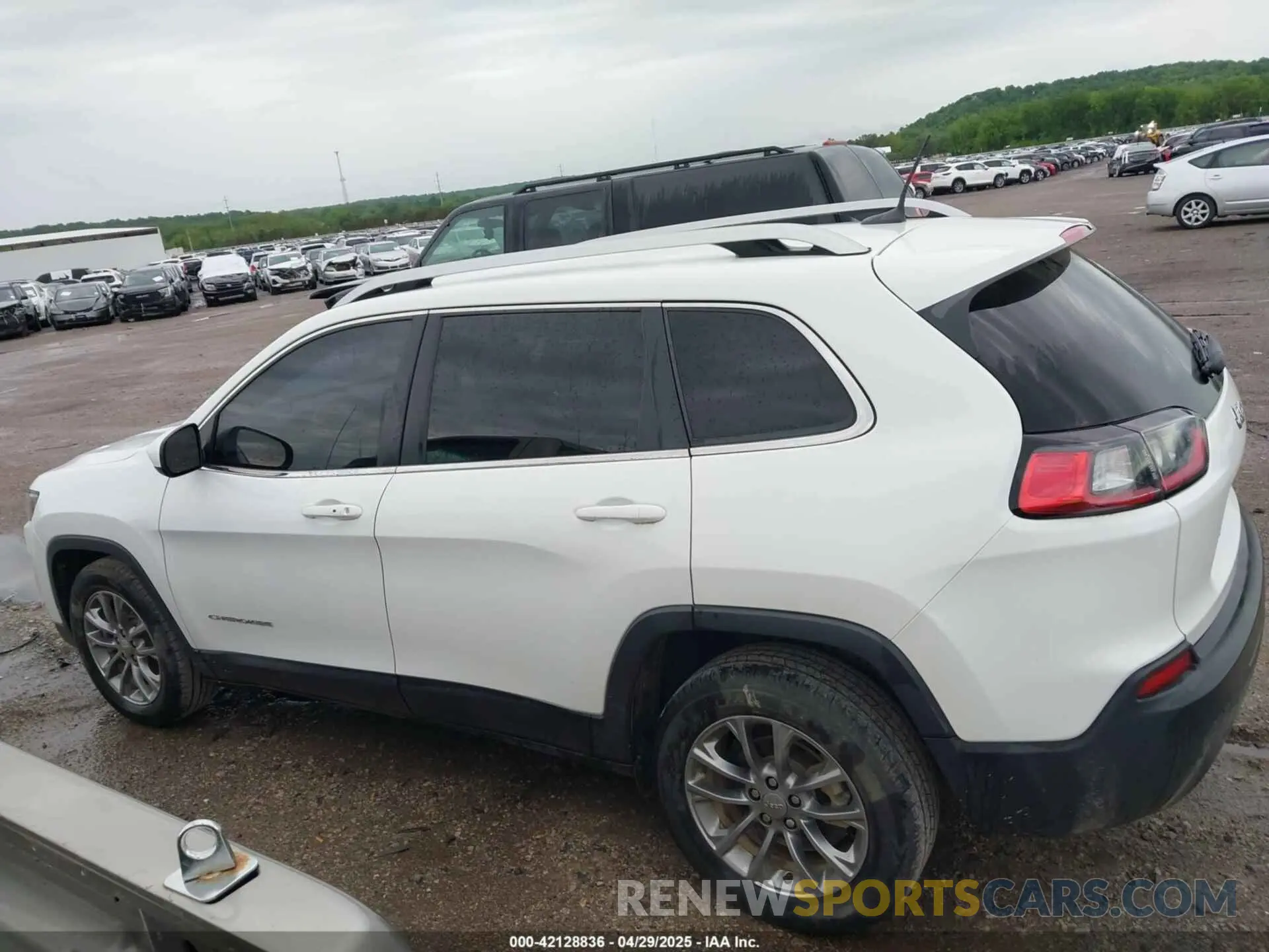14 Фотография поврежденного автомобиля 1C4PJLLB3KD151355 JEEP CHEROKEE 2019