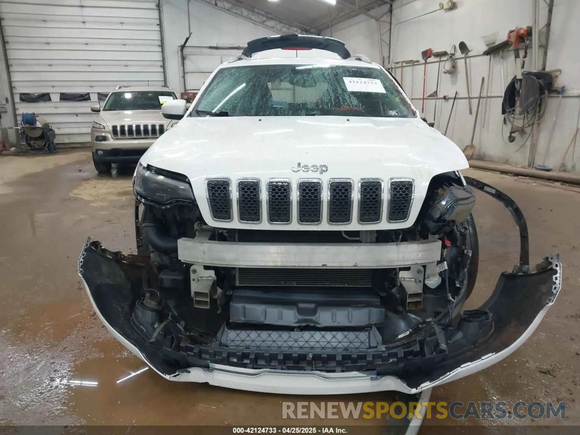 12 Фотография поврежденного автомобиля 1C4PJMDN9KD169616 JEEP CHEROKEE 2019