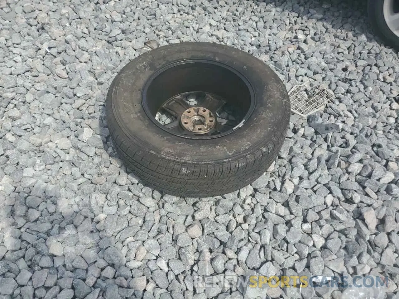 12 Photograph of a damaged car 1C4HJXEN4KW593715 JEEP WRANGLER 2019