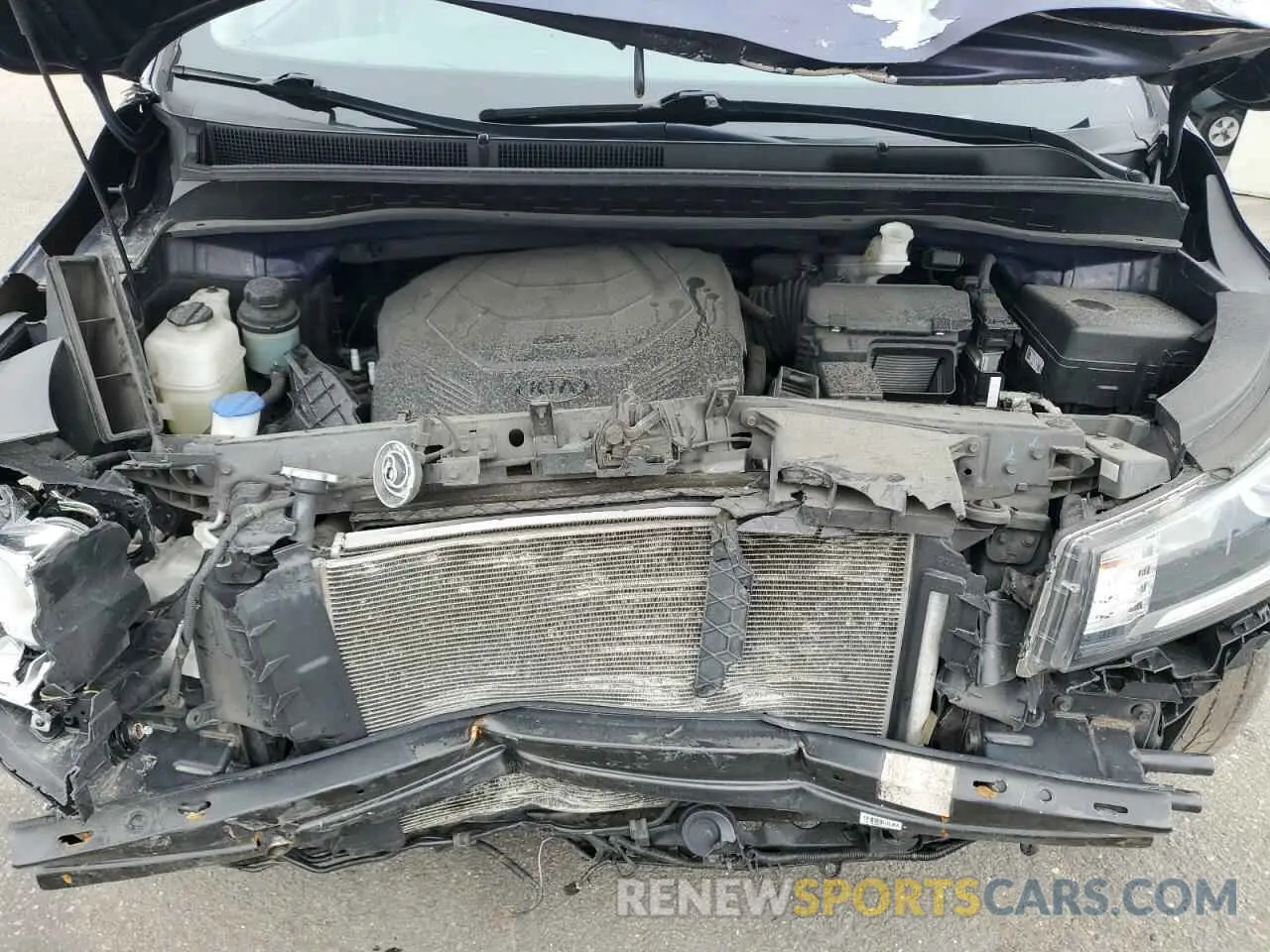 12 Фотография поврежденного автомобиля KNDMB5C13K6564982 KIA All Models 2019