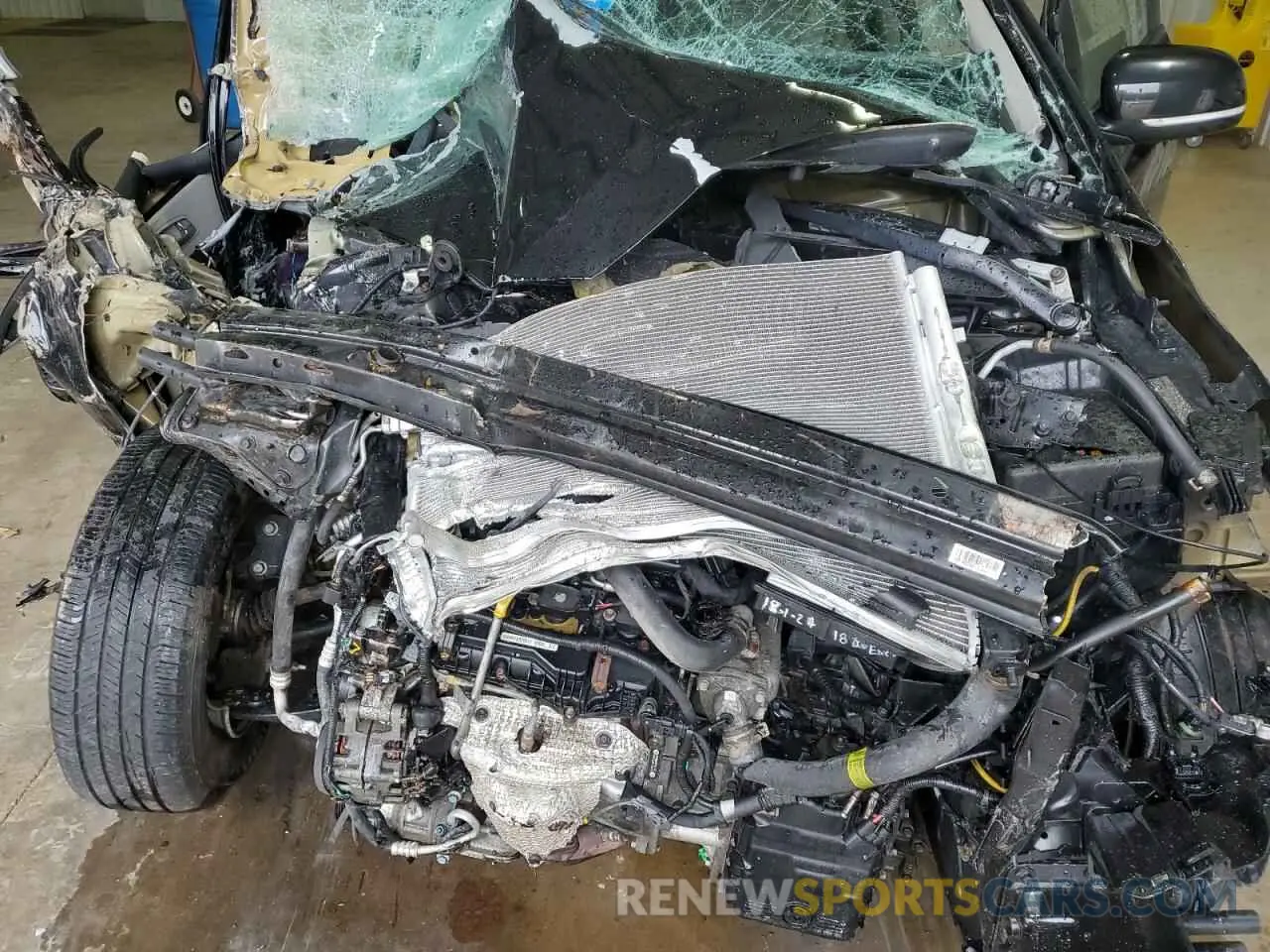 11 Фотография поврежденного автомобиля KNDMB5C17K6564905 KIA All Models 2019