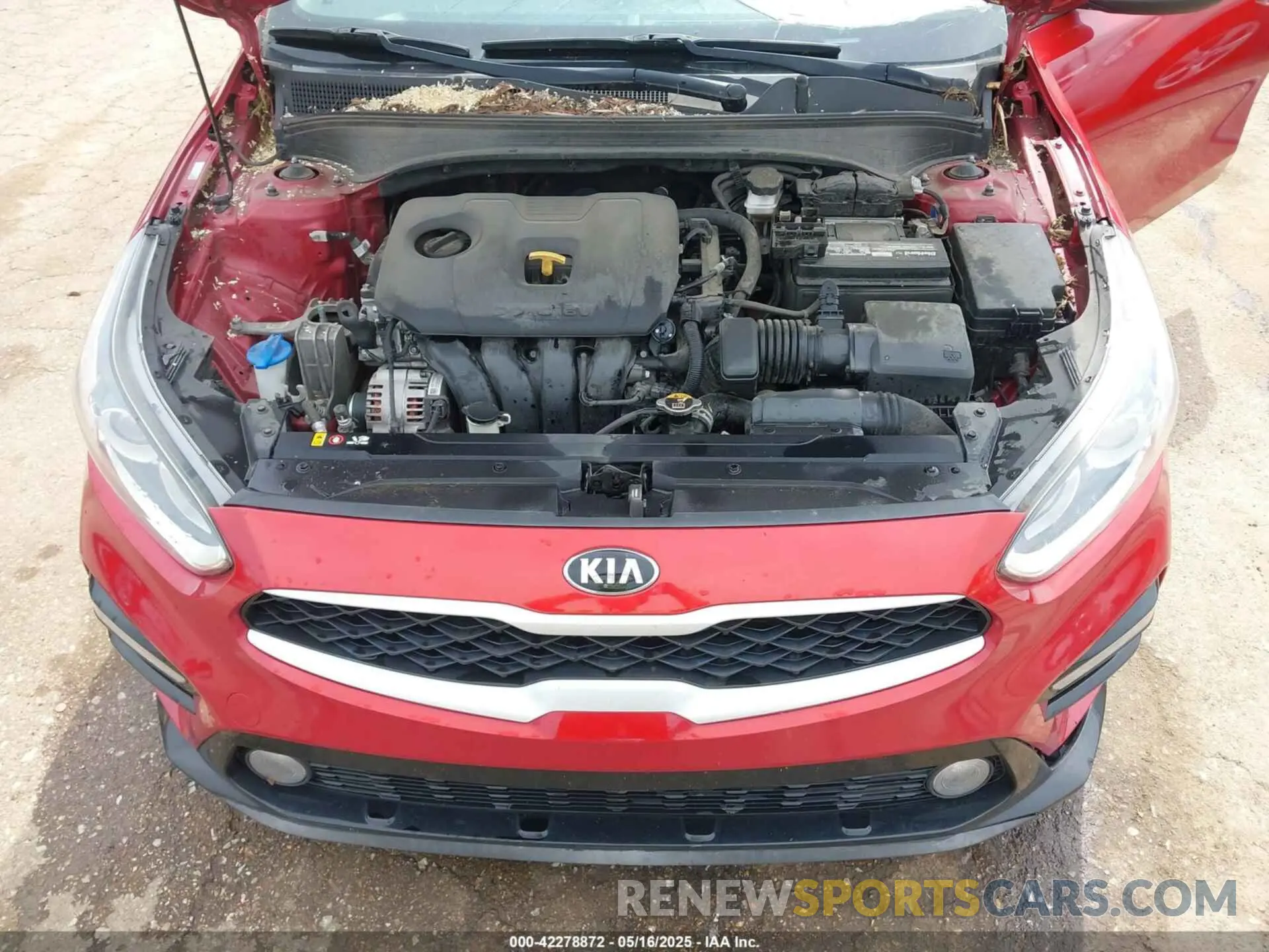 10 Photograph of a damaged car 3KPF24AD4KE063447 KIA FORTE 2019
