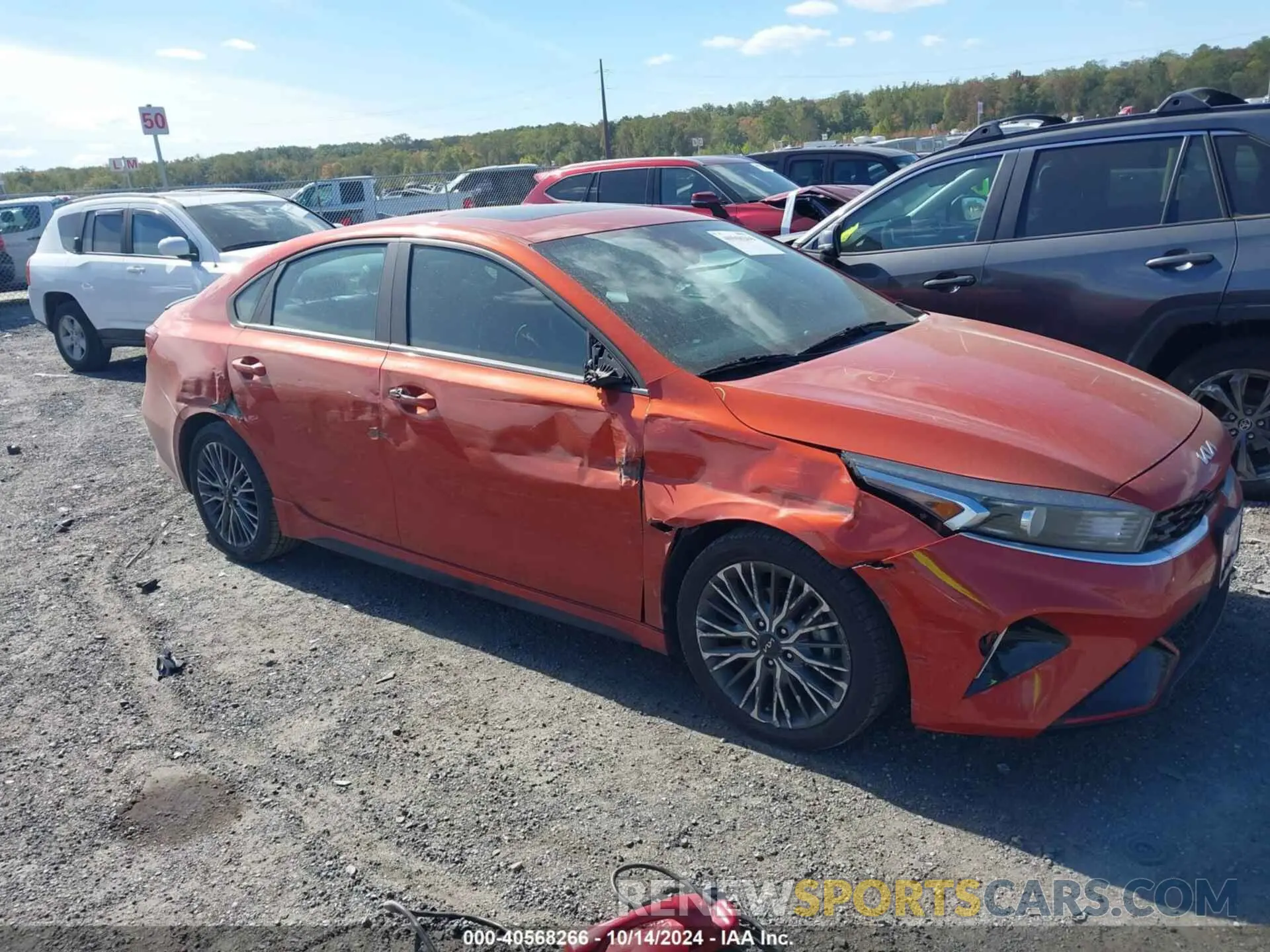12 Photograph of a damaged car 3KPF54AD2NE469402 KIA FORTE 2022