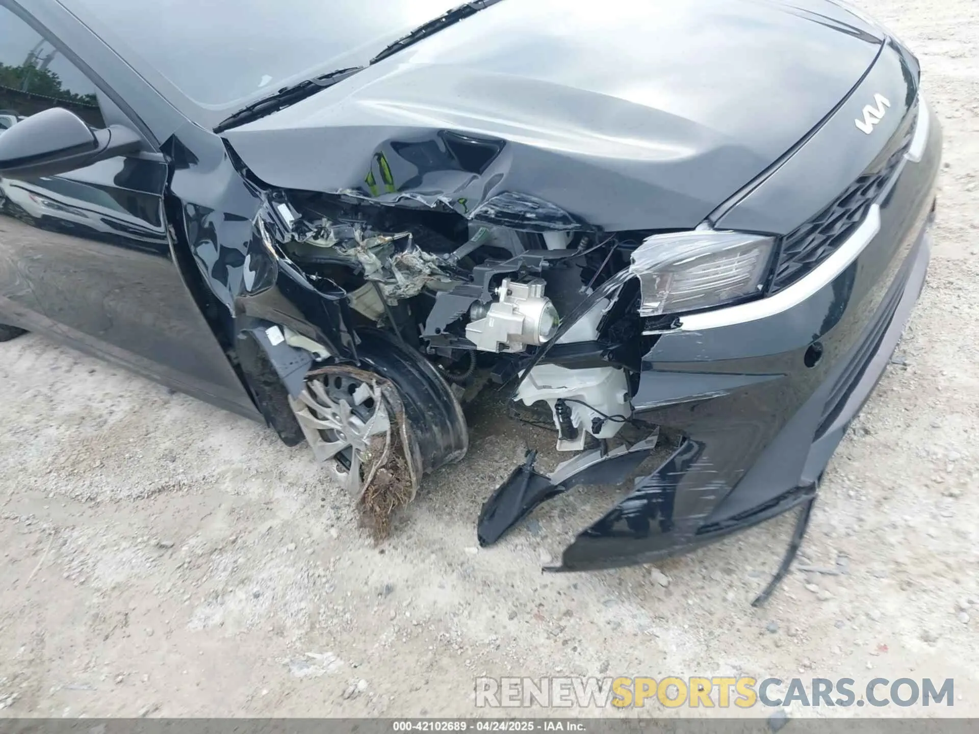 6 Photograph of a damaged car 3KPF24AD9RE788732 KIA FORTE 2024