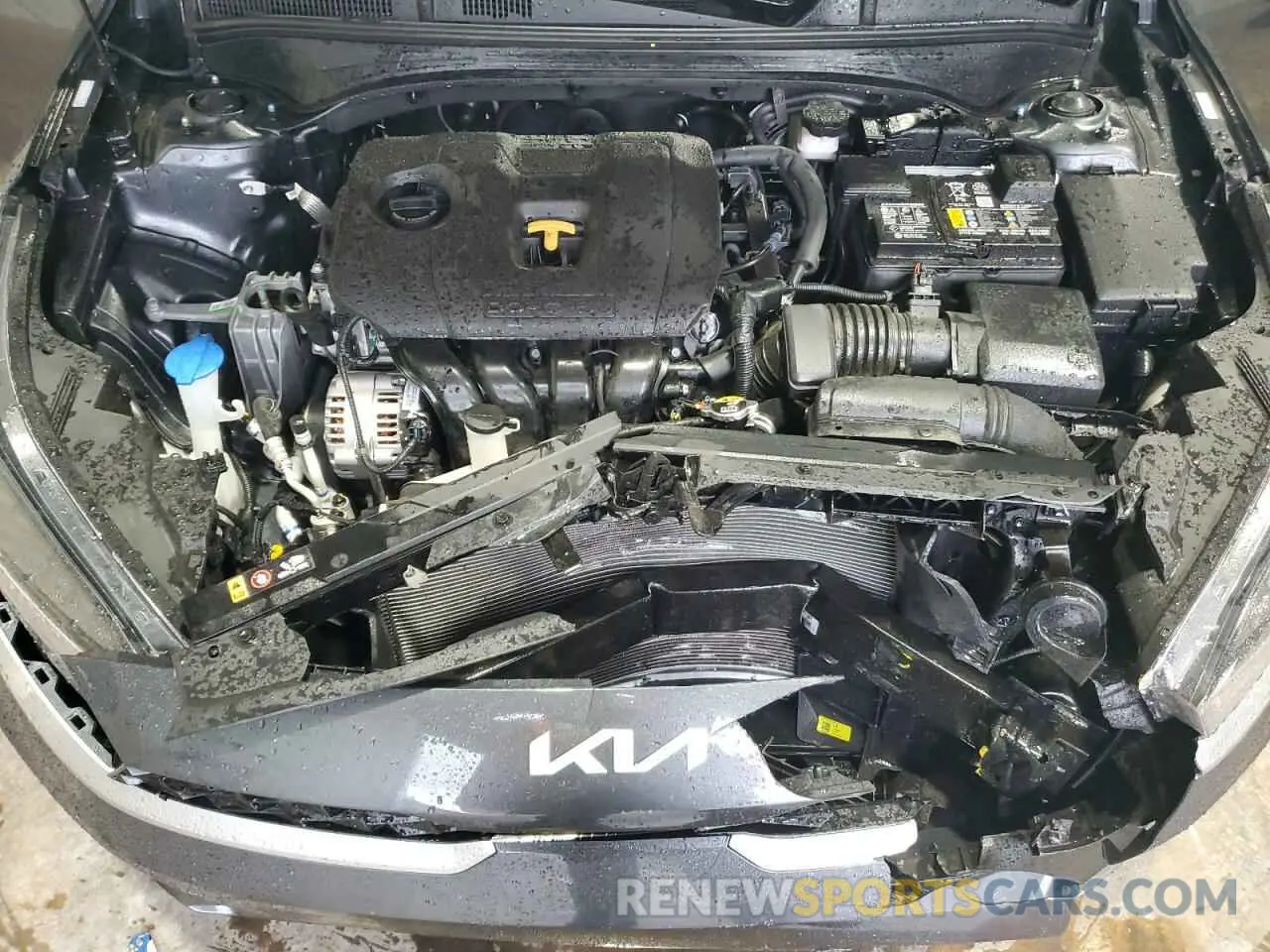 11 Photograph of a damaged car 3KPF24ADXRE830499 KIA FORTE 2024