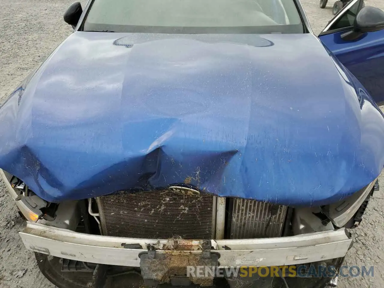 13 Photograph of a damaged car 5XXG64J29MG006159 KIA K5 2021