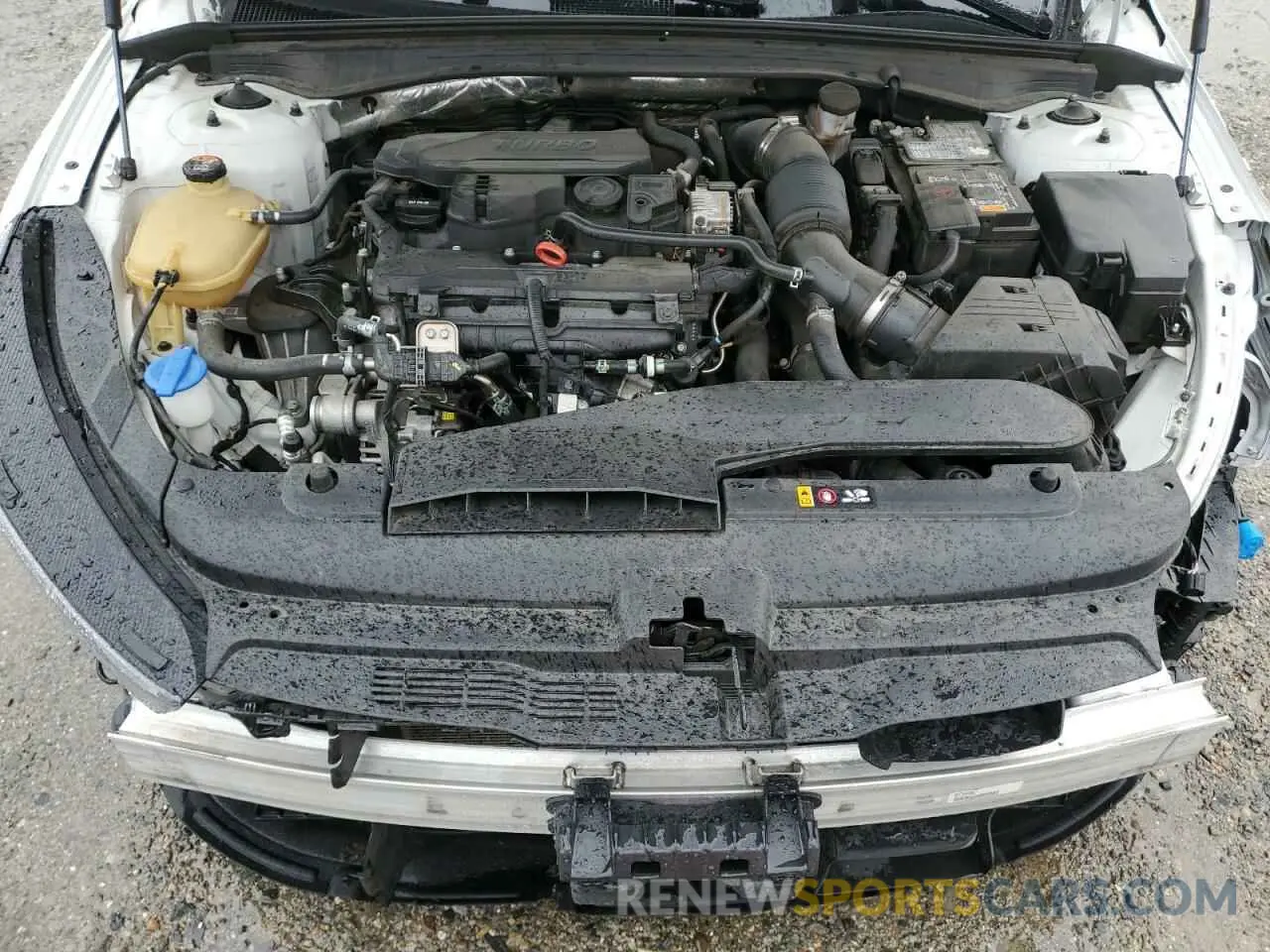 11 Photograph of a damaged car 5XXG14J21NG151096 KIA K5 2022