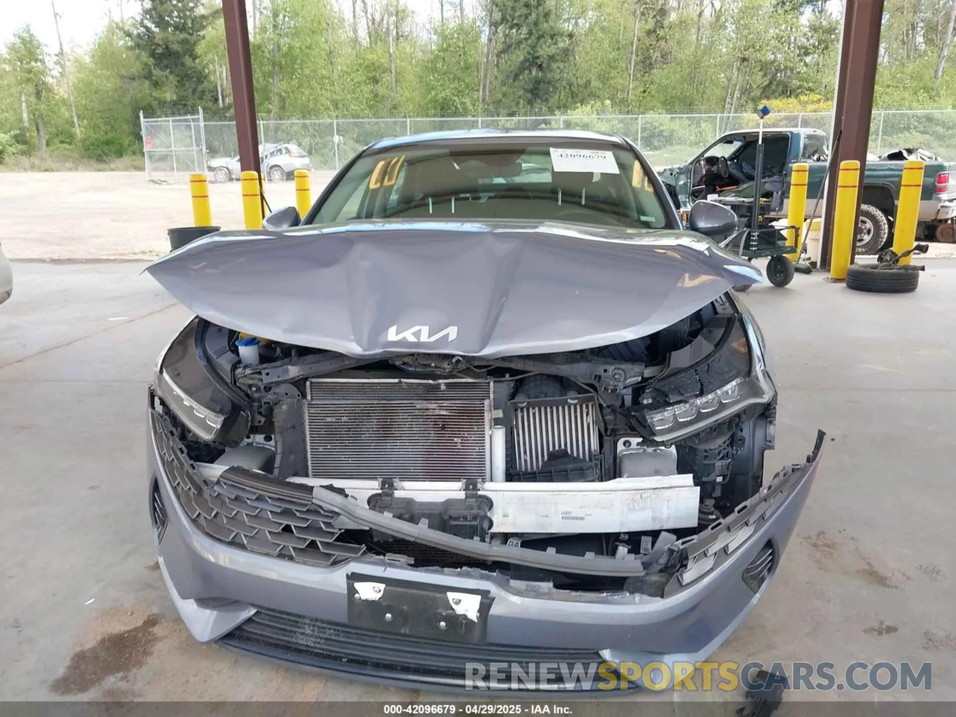 12 Photograph of a damaged car 5XXG14J23NG090639 KIA K5 2022