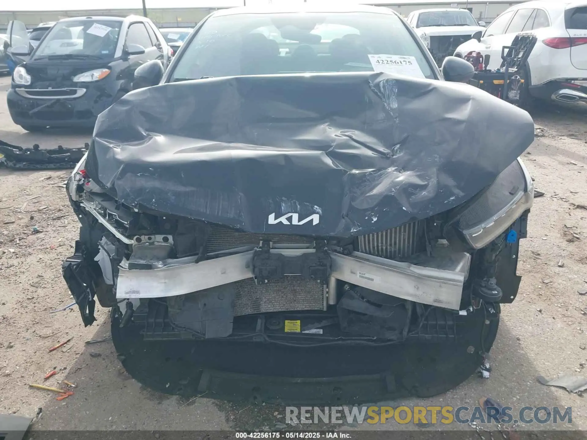 12 Photograph of a damaged car 5XXG14J27NG150860 KIA K5 2022