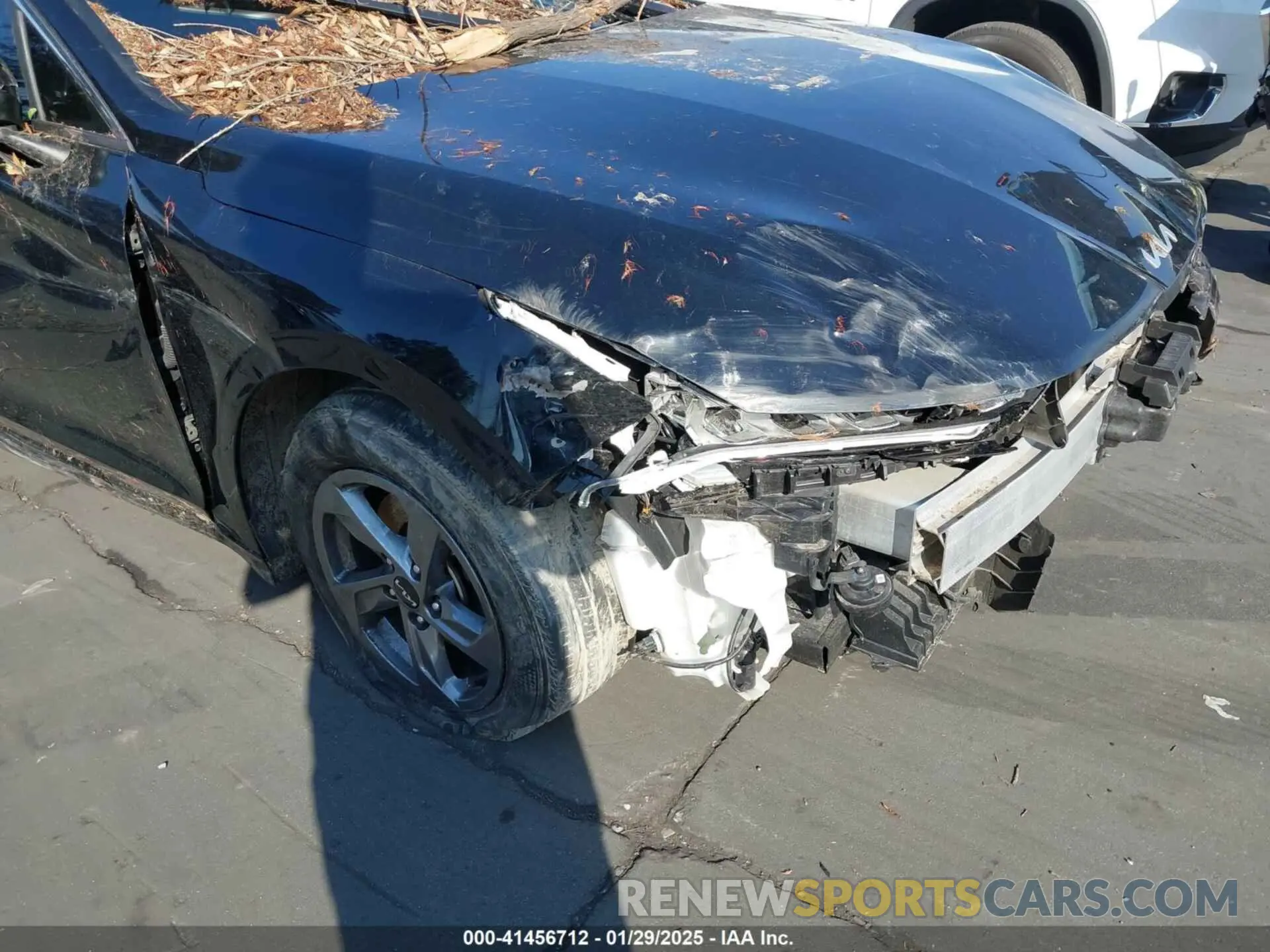 12 Photograph of a damaged car 5XXG14J29NG132439 KIA K5 2022