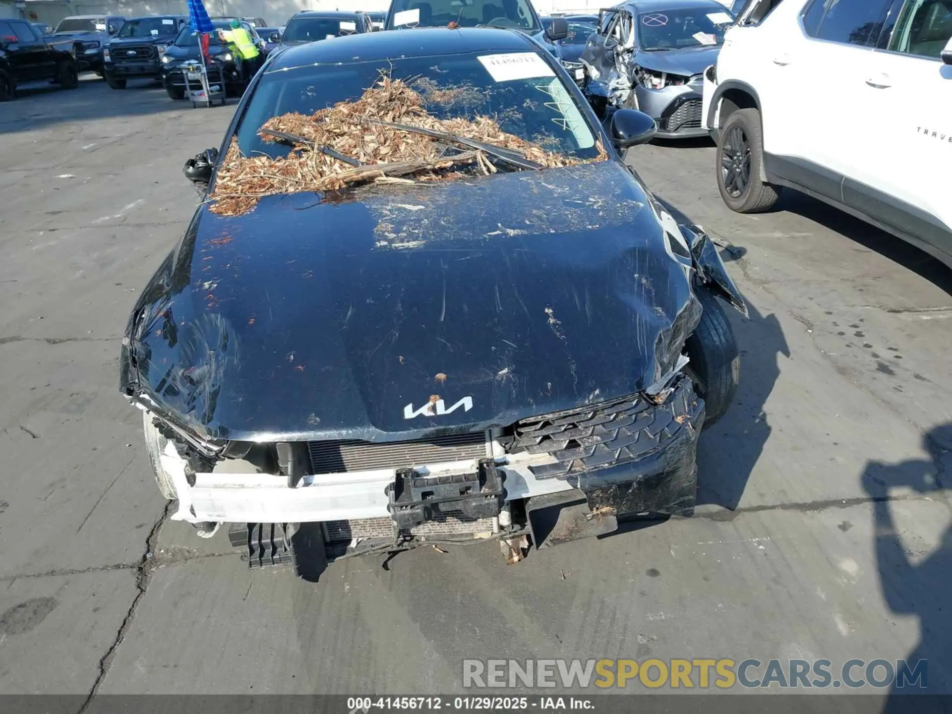 13 Photograph of a damaged car 5XXG14J29NG132439 KIA K5 2022