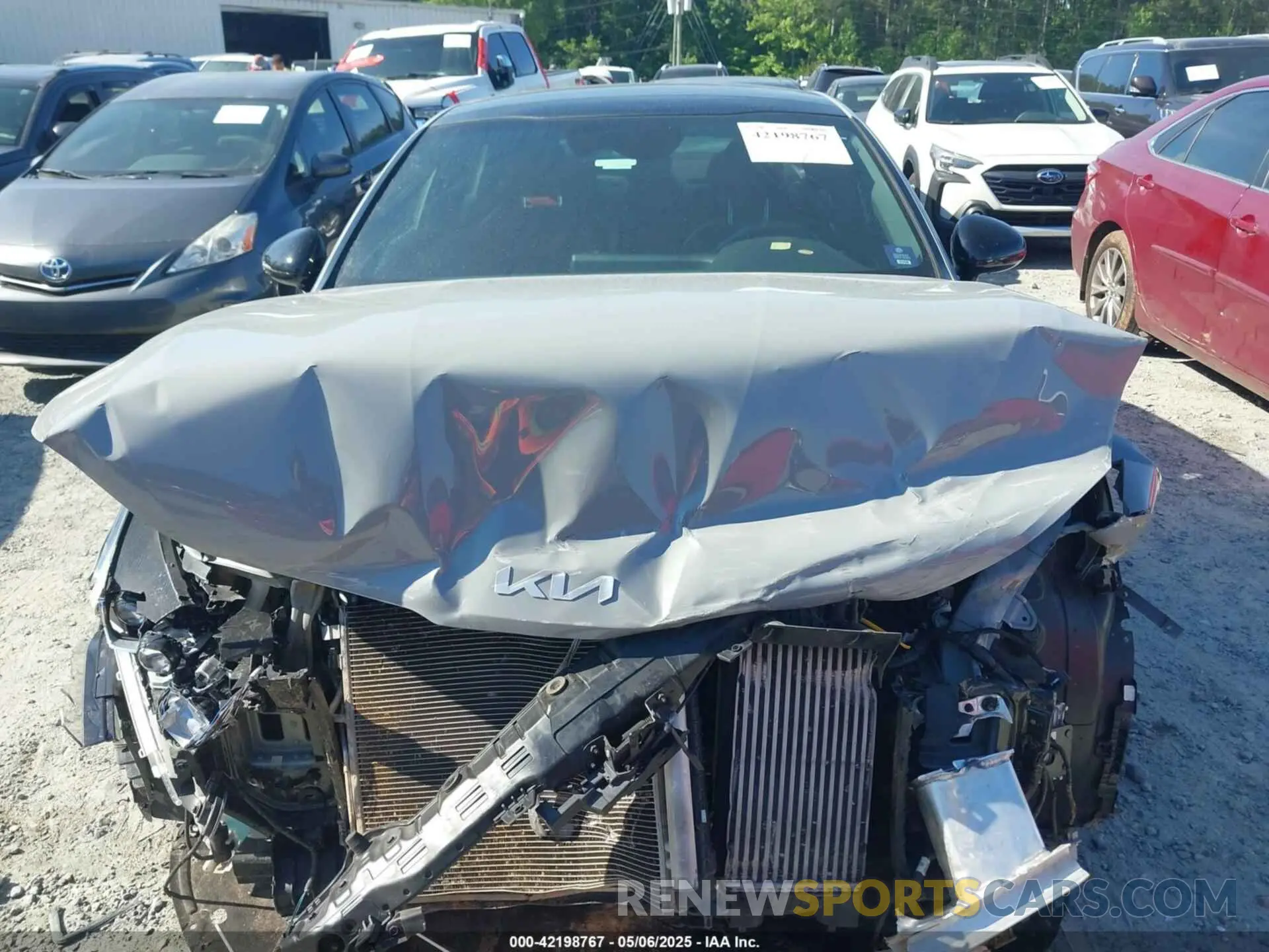 12 Photograph of a damaged car 5XXG64J26NG160961 KIA K5 2022