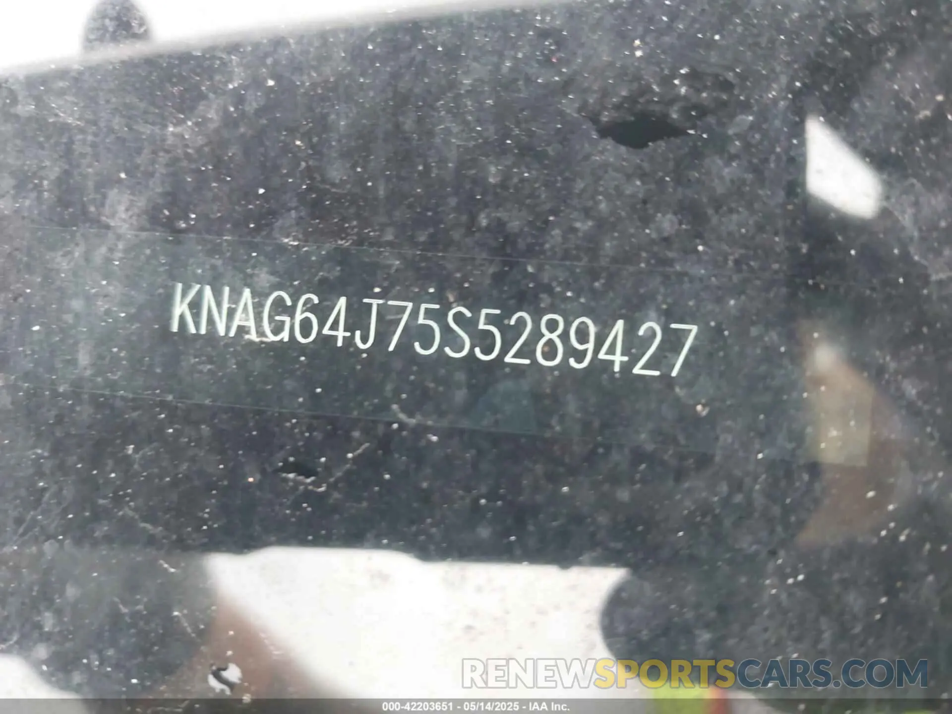 17 Фотография поврежденного автомобиля KNAG64J75S5289427 KIA K5 2025
