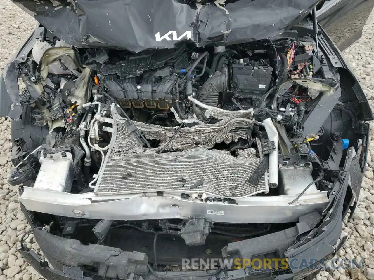12 Photograph of a damaged car KNAG64J78S5310271 KIA K5 2025