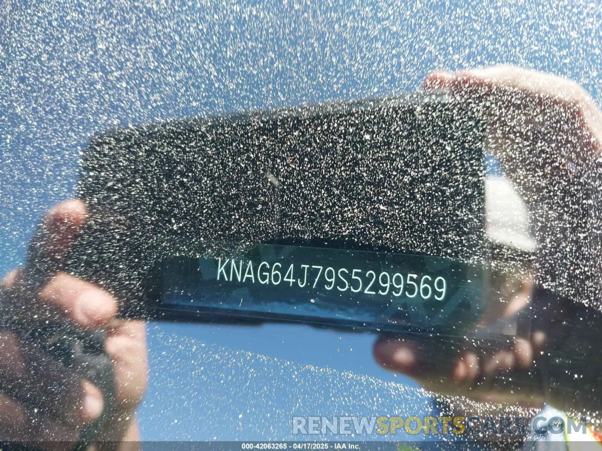 9 Фотография поврежденного автомобиля KNAG64J79S5299569 KIA K5 2025