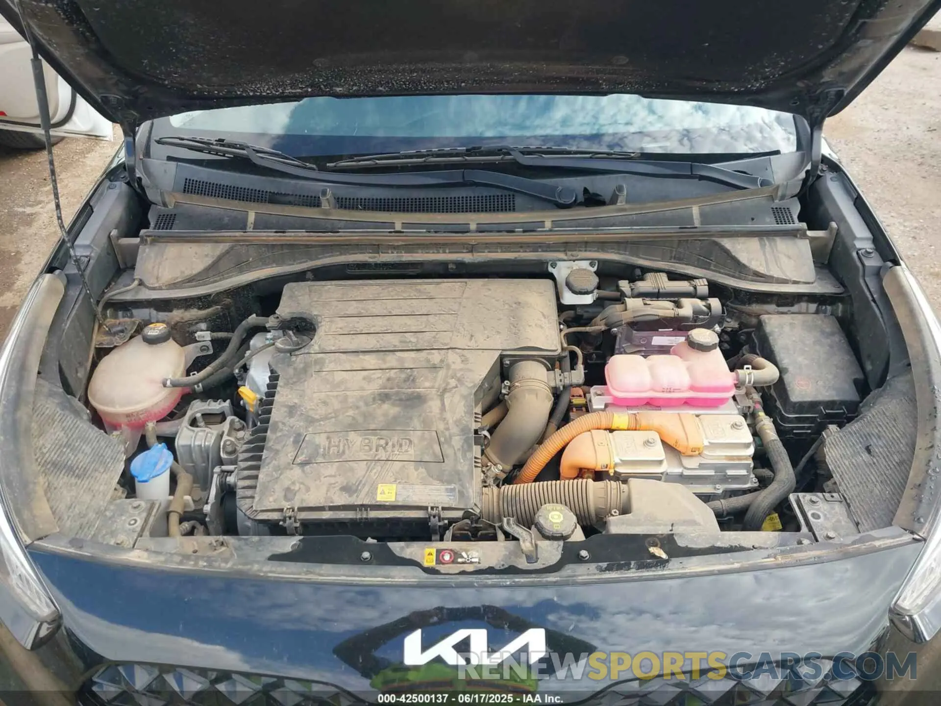 10 Photograph of a damaged car KNDCC3LC3N5515712 KIA NIRO 2022
