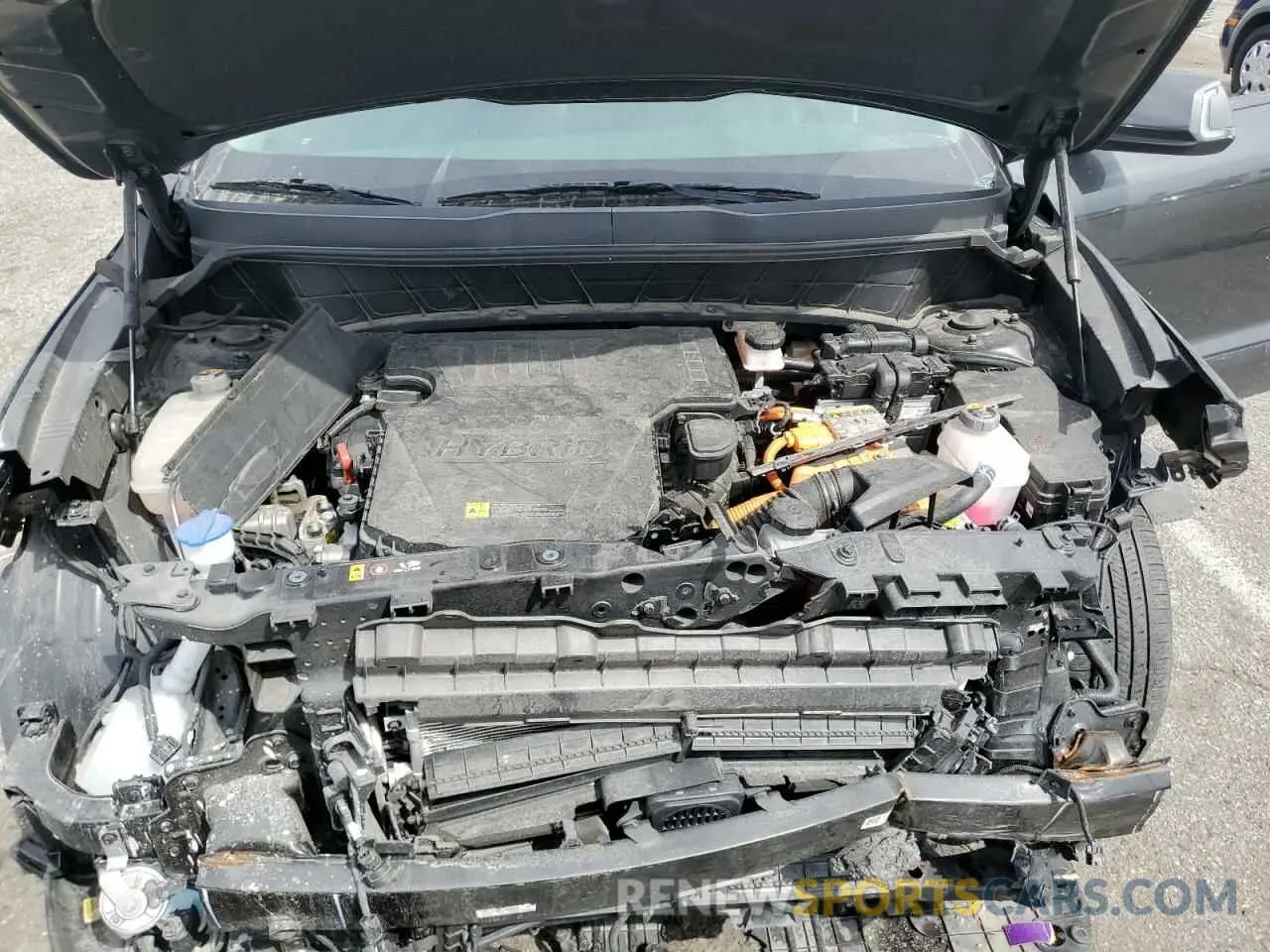 13 Photograph of a damaged car KNDCR3LE5R5187389 KIA NIRO 2024