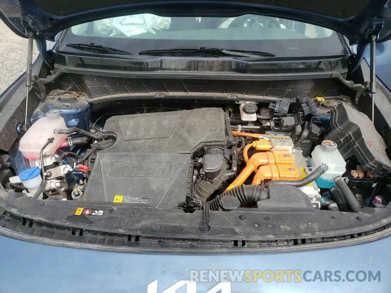 12 Фотография поврежденного автомобиля KNDCR3LF2P5050559 KIA NIRO SX TO 2023