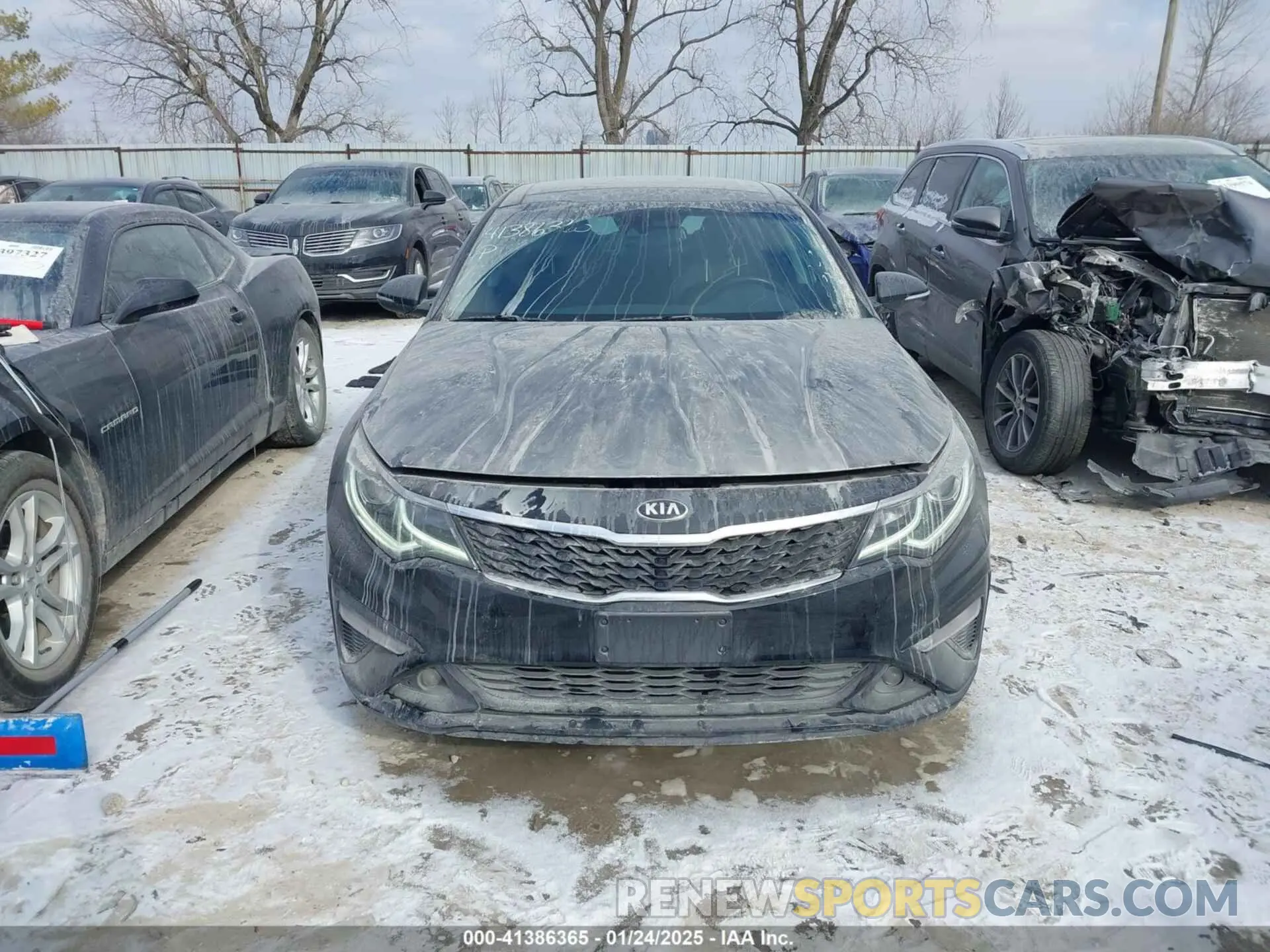 12 Photograph of a damaged car 5XXGT4L33KG290481 KIA OPTIMA 2019