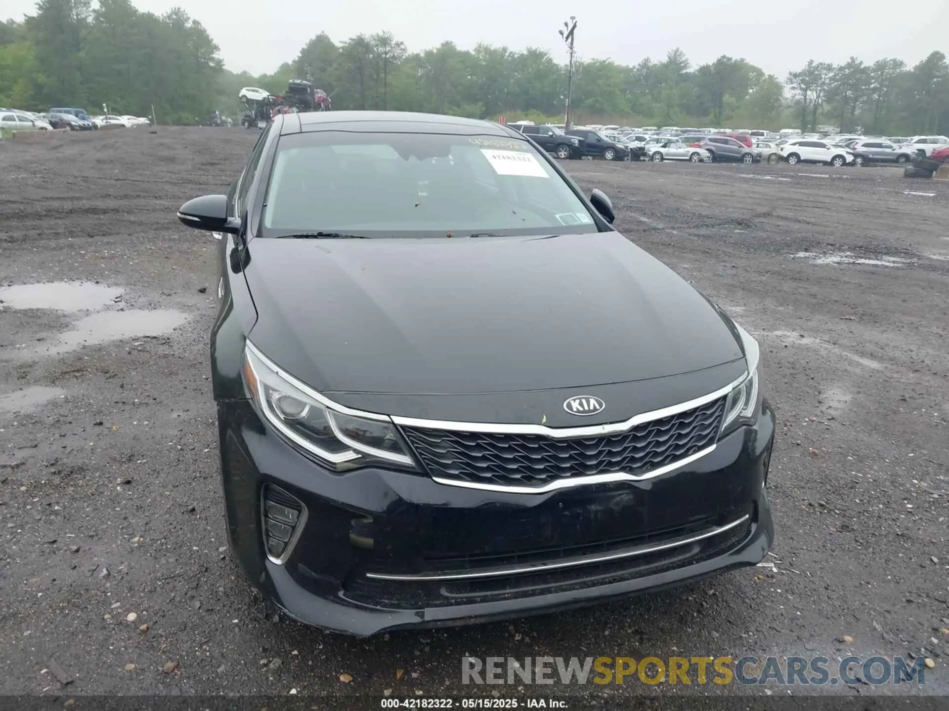 12 Photograph of a damaged car 5XXGT4L37KG333431 KIA OPTIMA 2019