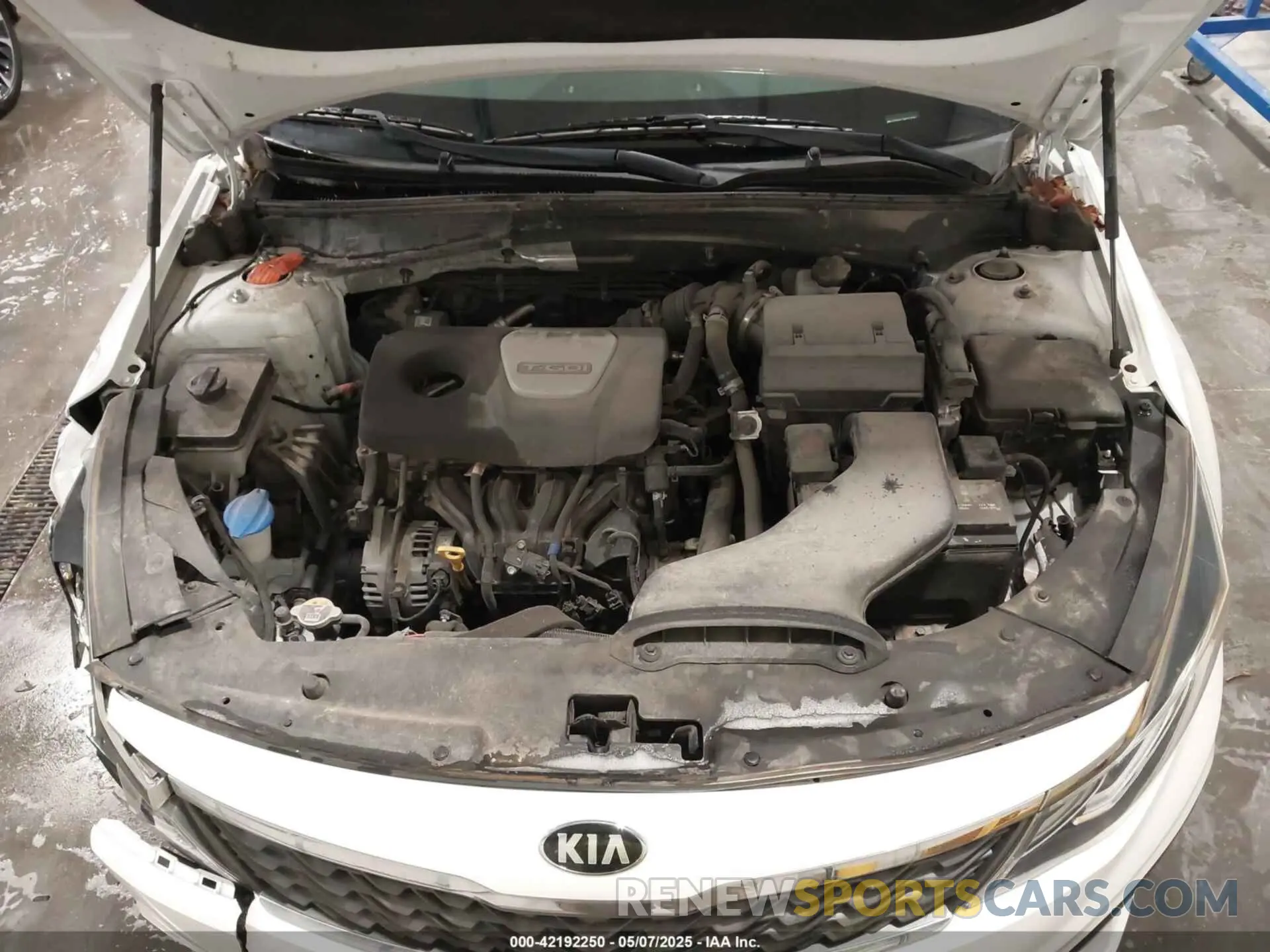 10 Photograph of a damaged car 5XXGU4L18KG314561 KIA OPTIMA 2019