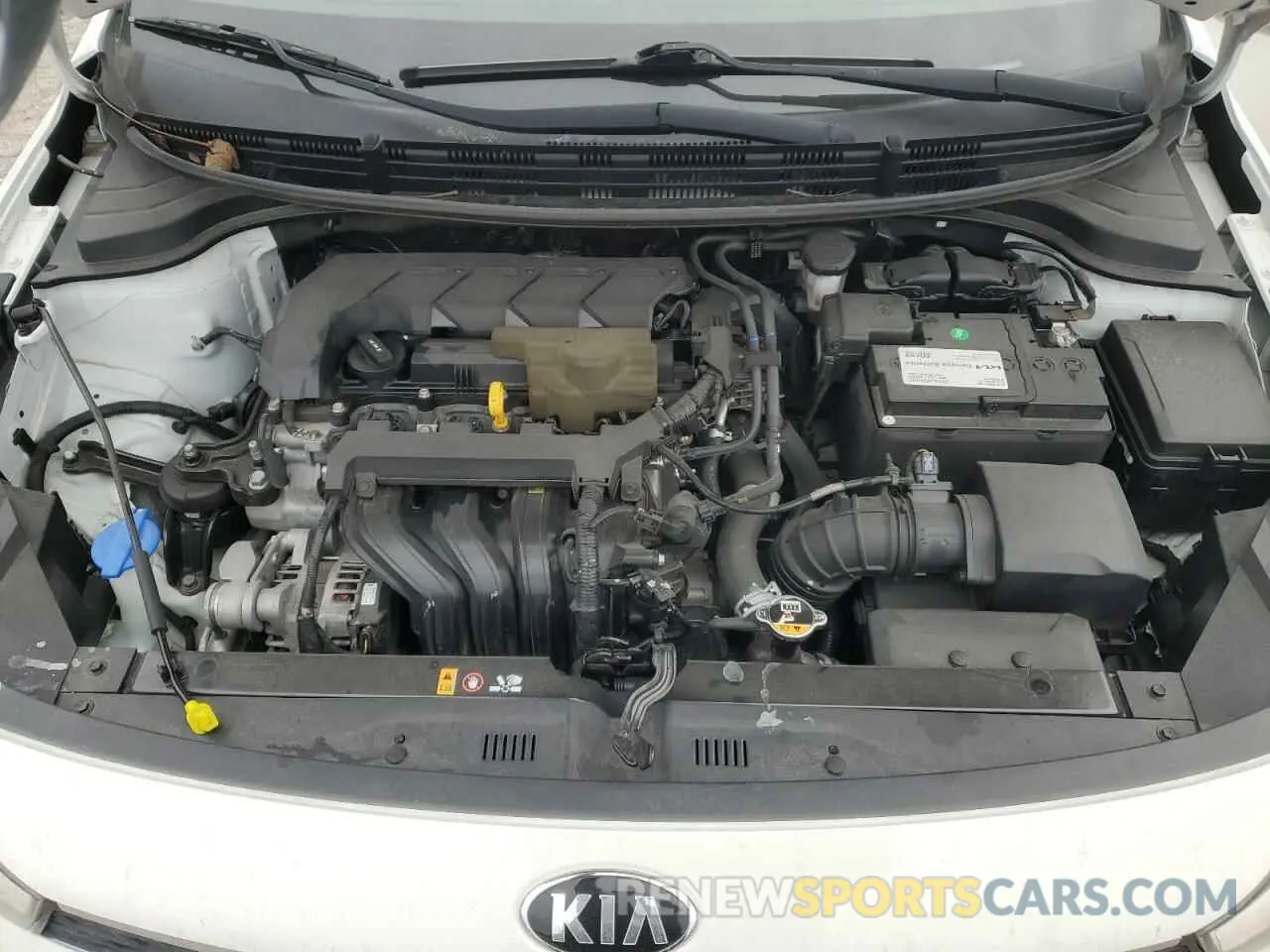 11 Photograph of a damaged car 3KPA24ADXLE302401 KIA RIO 2020