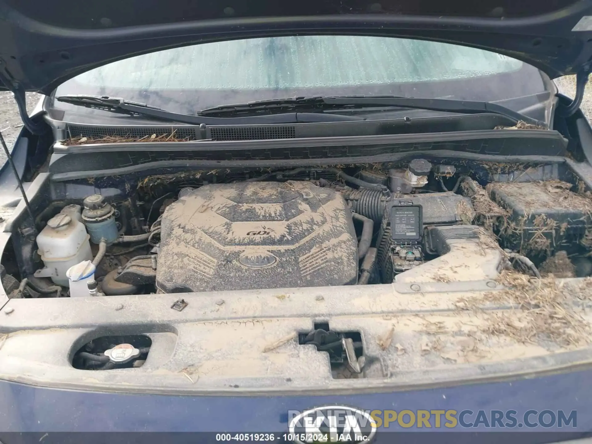 10 Photograph of a damaged car KNDMB5C1XL6618392 KIA SEDONA 2020
