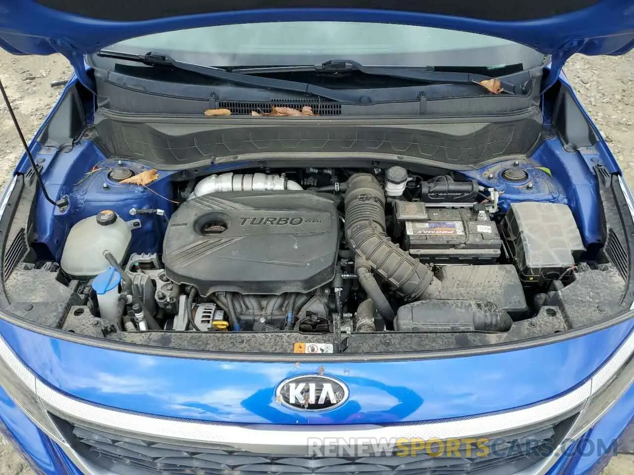 12 Photograph of a damaged car KNDETCA28M7037129 KIA SELTOS 2021