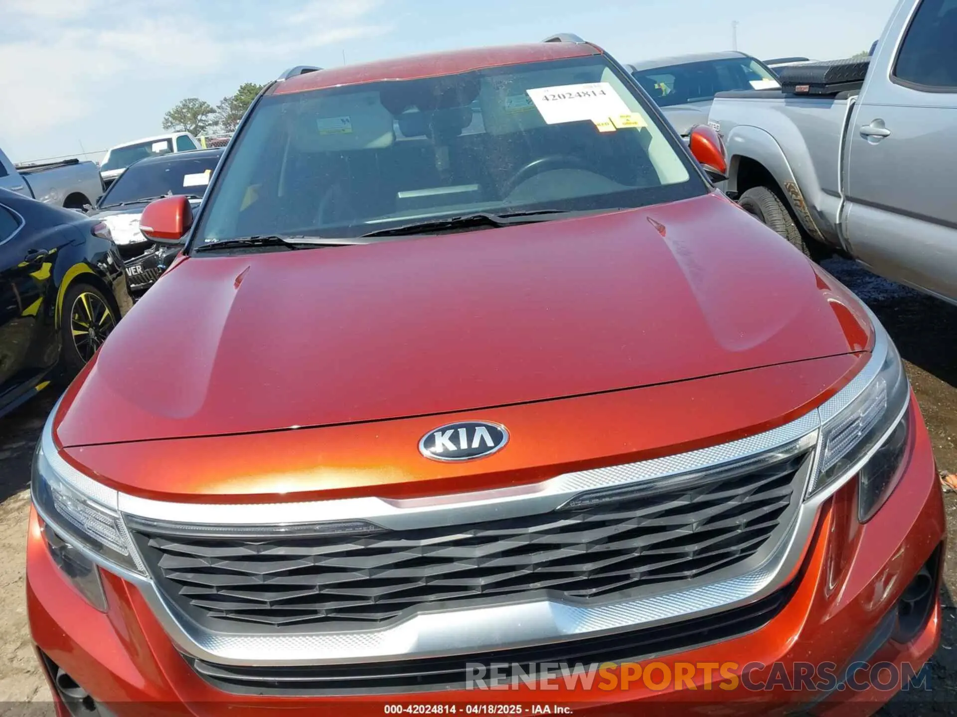 12 Фотография поврежденного автомобиля KNDEU2AA1M7159622 KIA SELTOS 2021