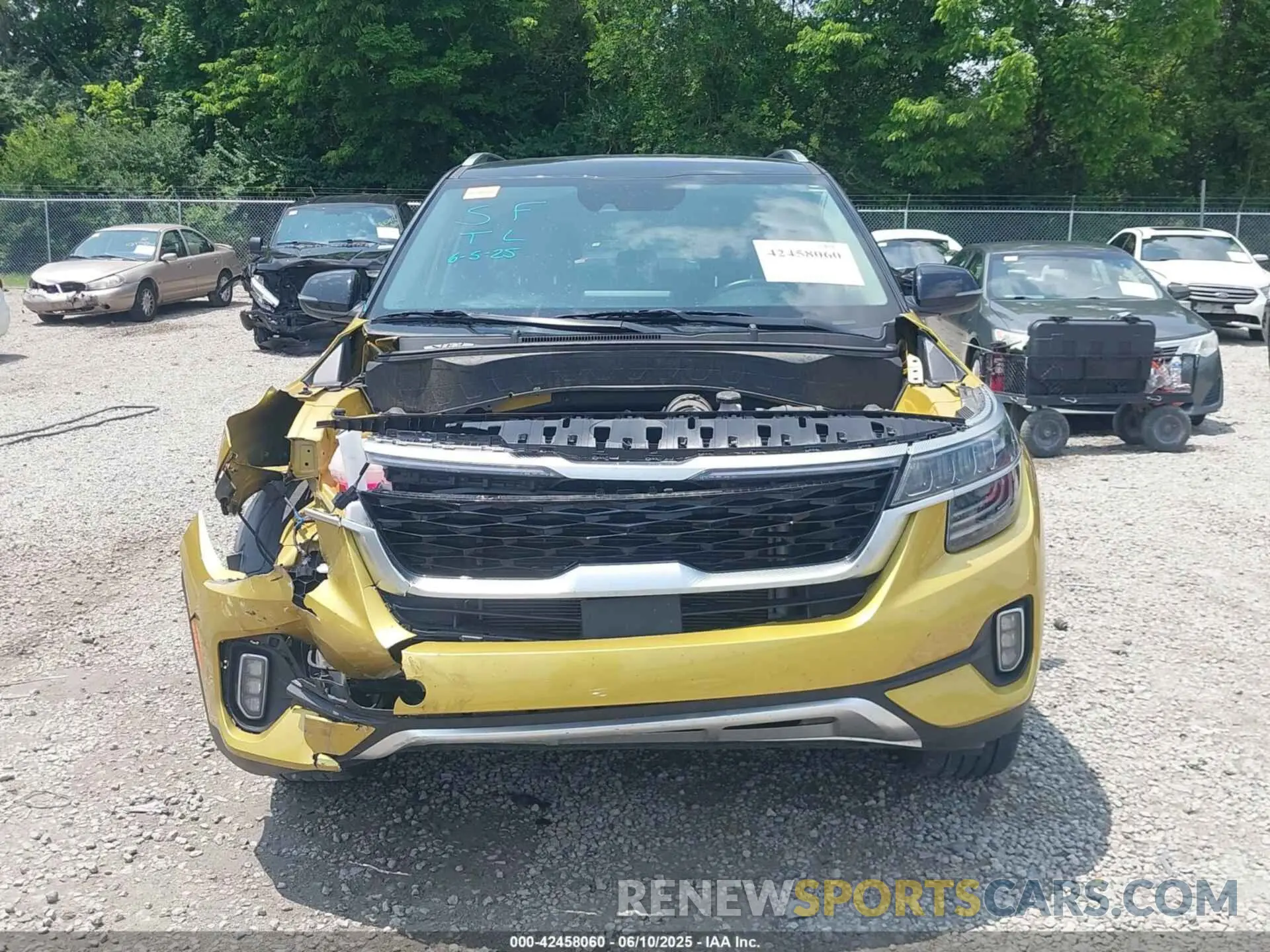 13 Photograph of a damaged car KNDETCA29N7274519 KIA SELTOS 2022