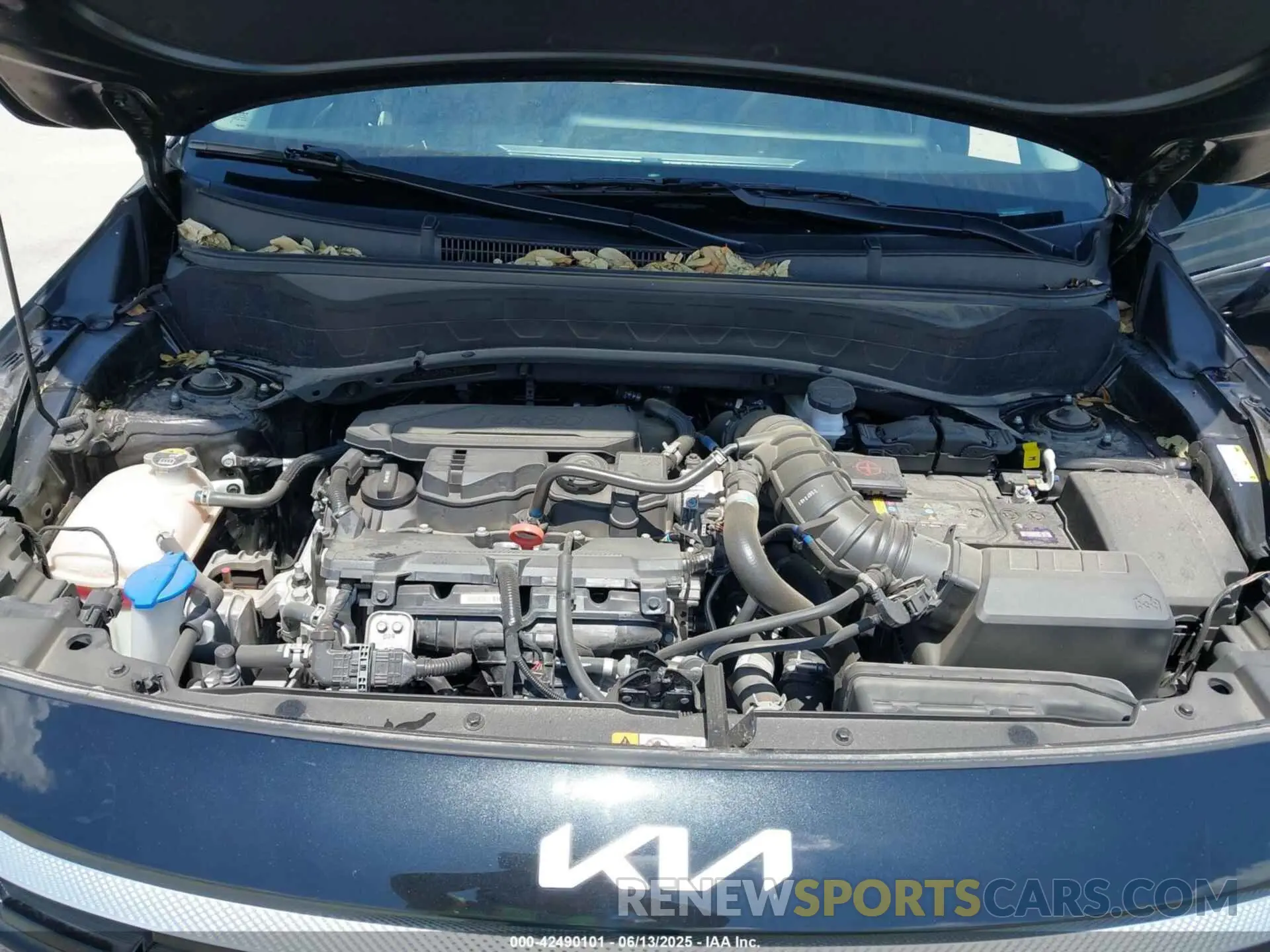 10 Photograph of a damaged car KNDETCA76R7543805 KIA SELTOS 2024