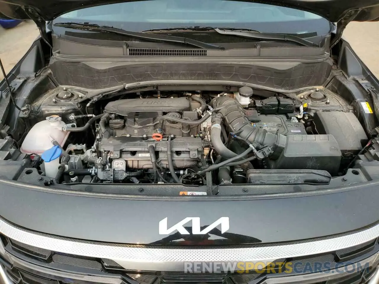 13 Photograph of a damaged car KNDETCA76R7658078 KIA SELTOS 2024
