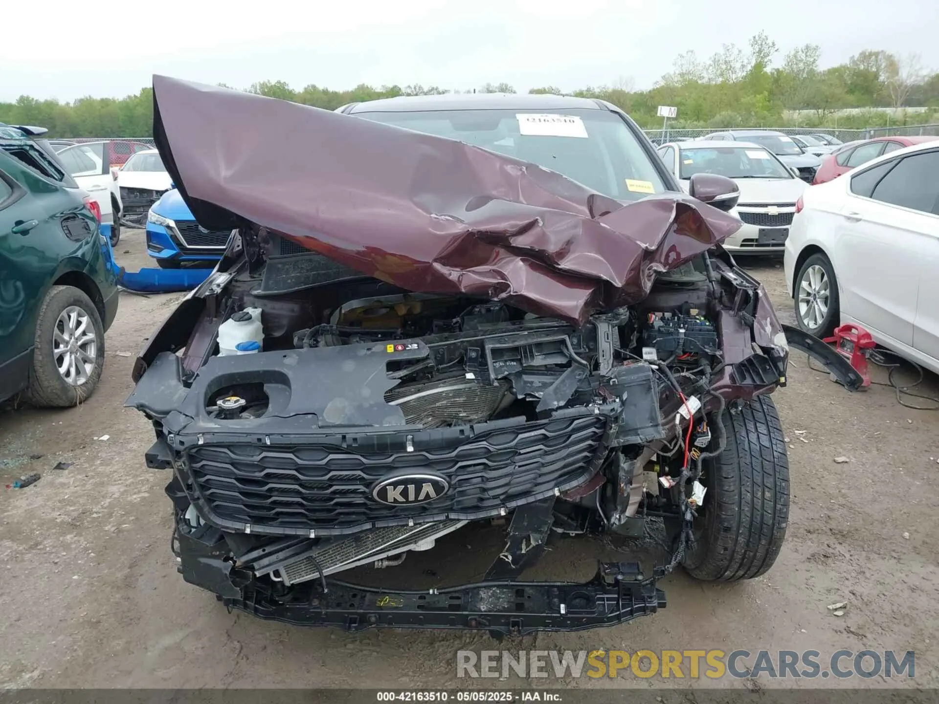 13 Photograph of a damaged car 5XYPG4A35KG576447 KIA SORENTO 2019