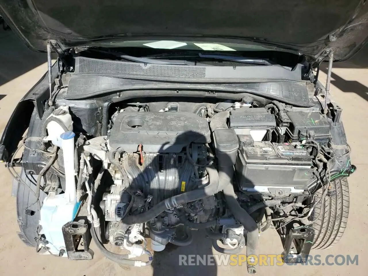 12 Фотография поврежденного автомобиля 5XYPG4A36KG537592 KIA SORENTO 2019