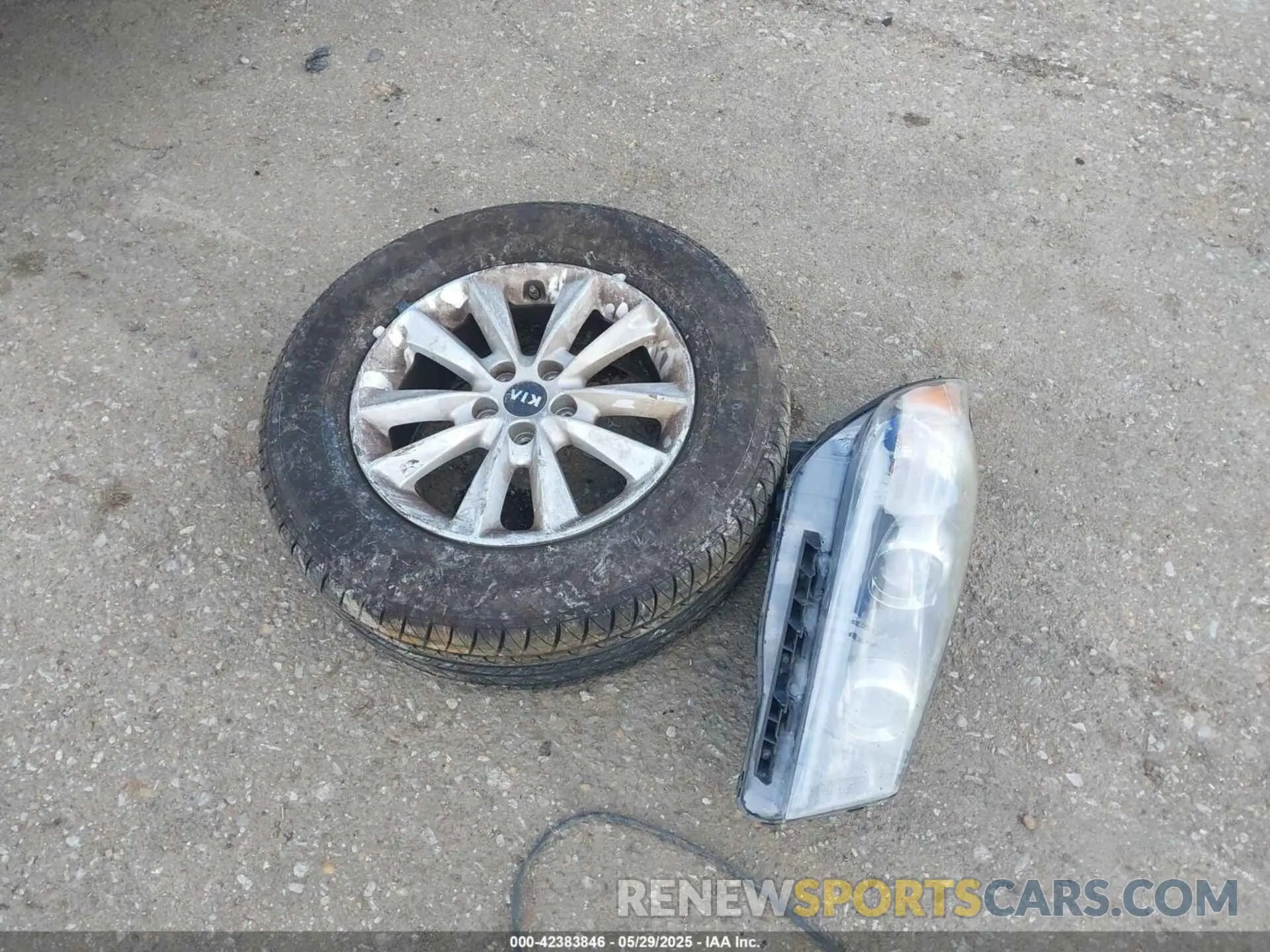 12 Photograph of a damaged car 5XYPG4A37KG508750 KIA SORENTO 2019